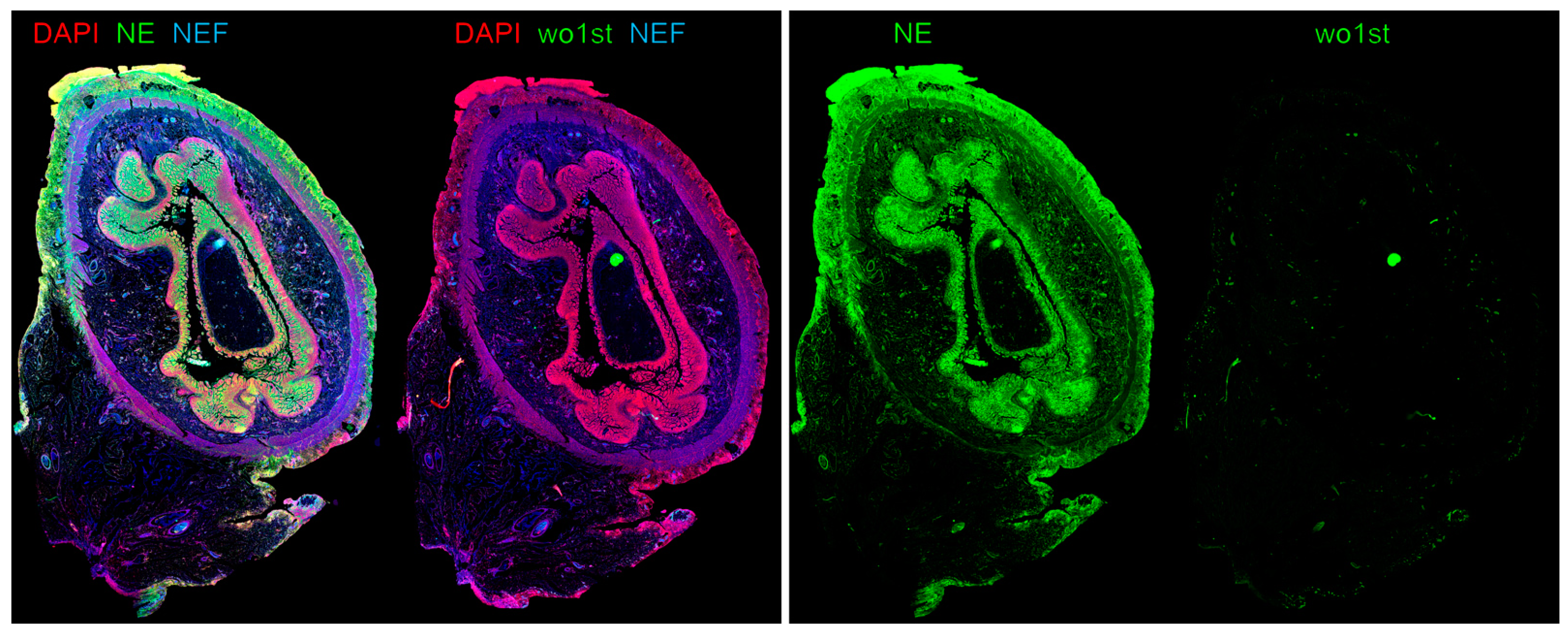 Children 11 00295 g002