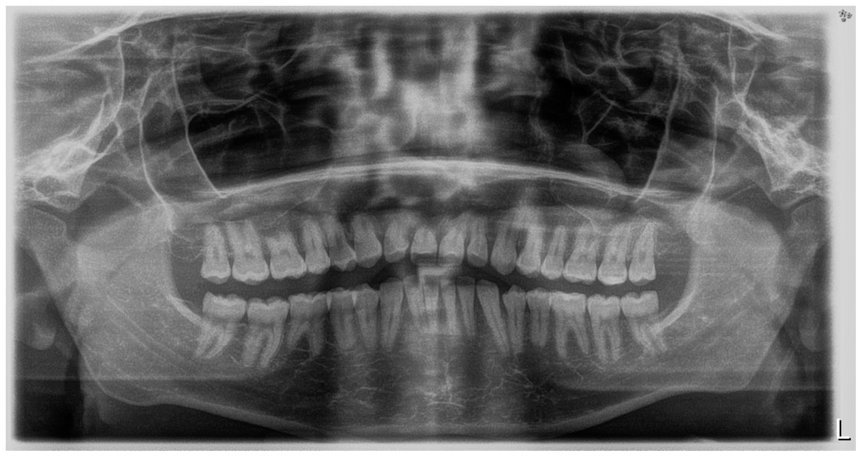 Children 11 00358 g009