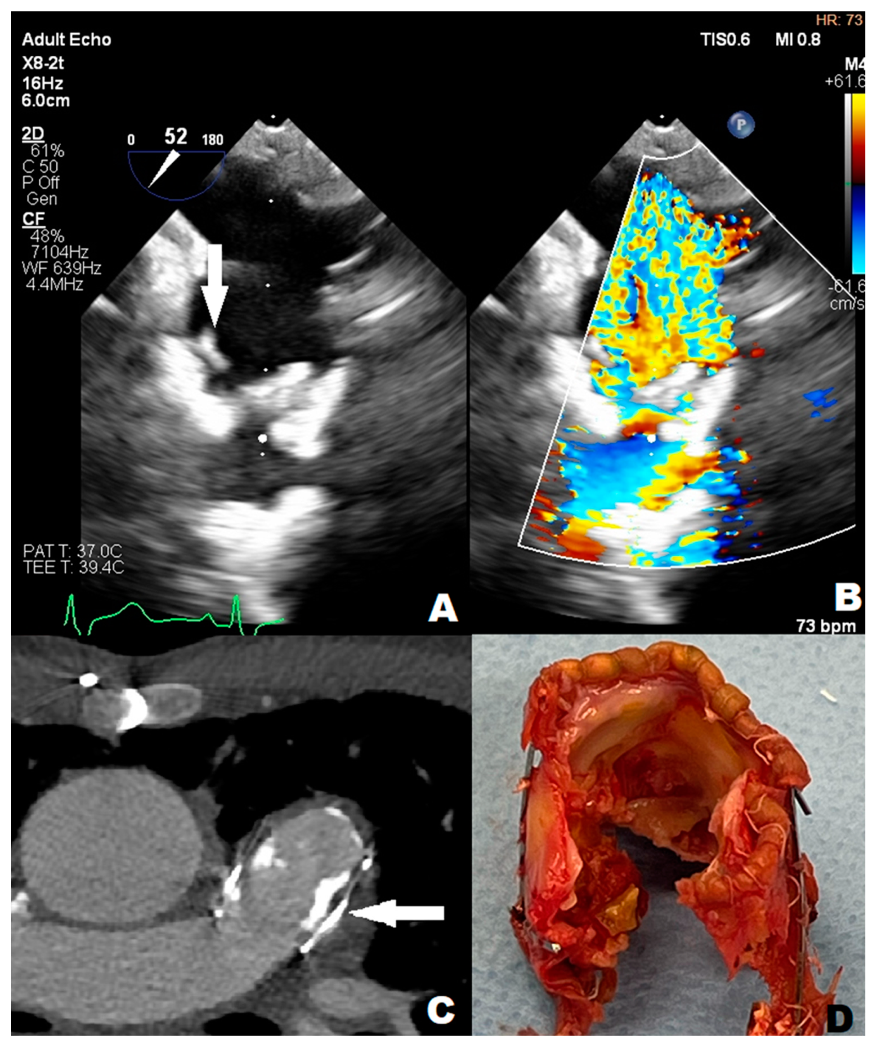 Children 11 00371 g001