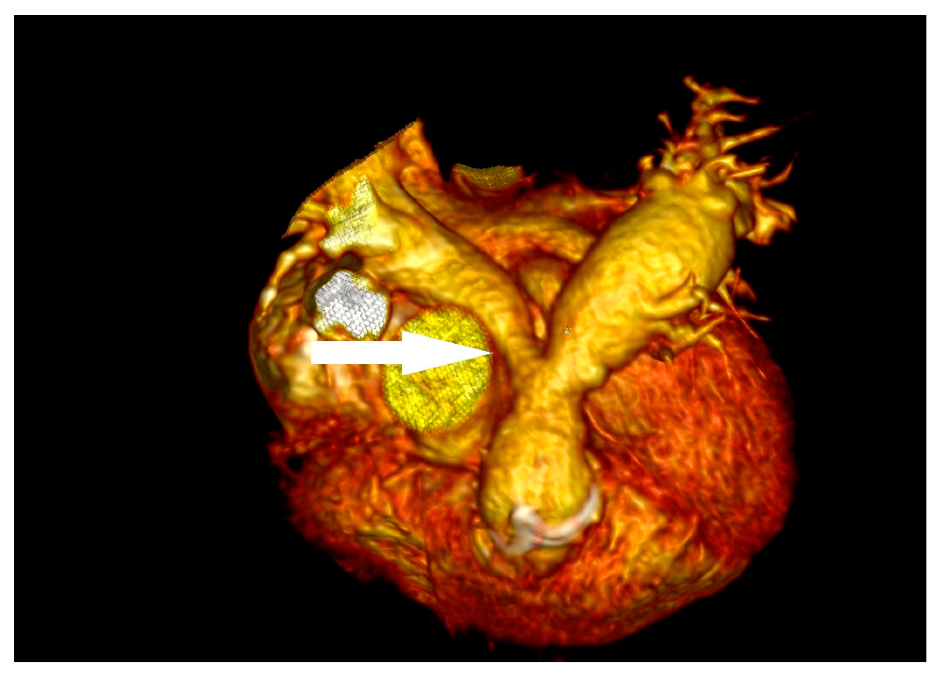 Children 11 00371 g005