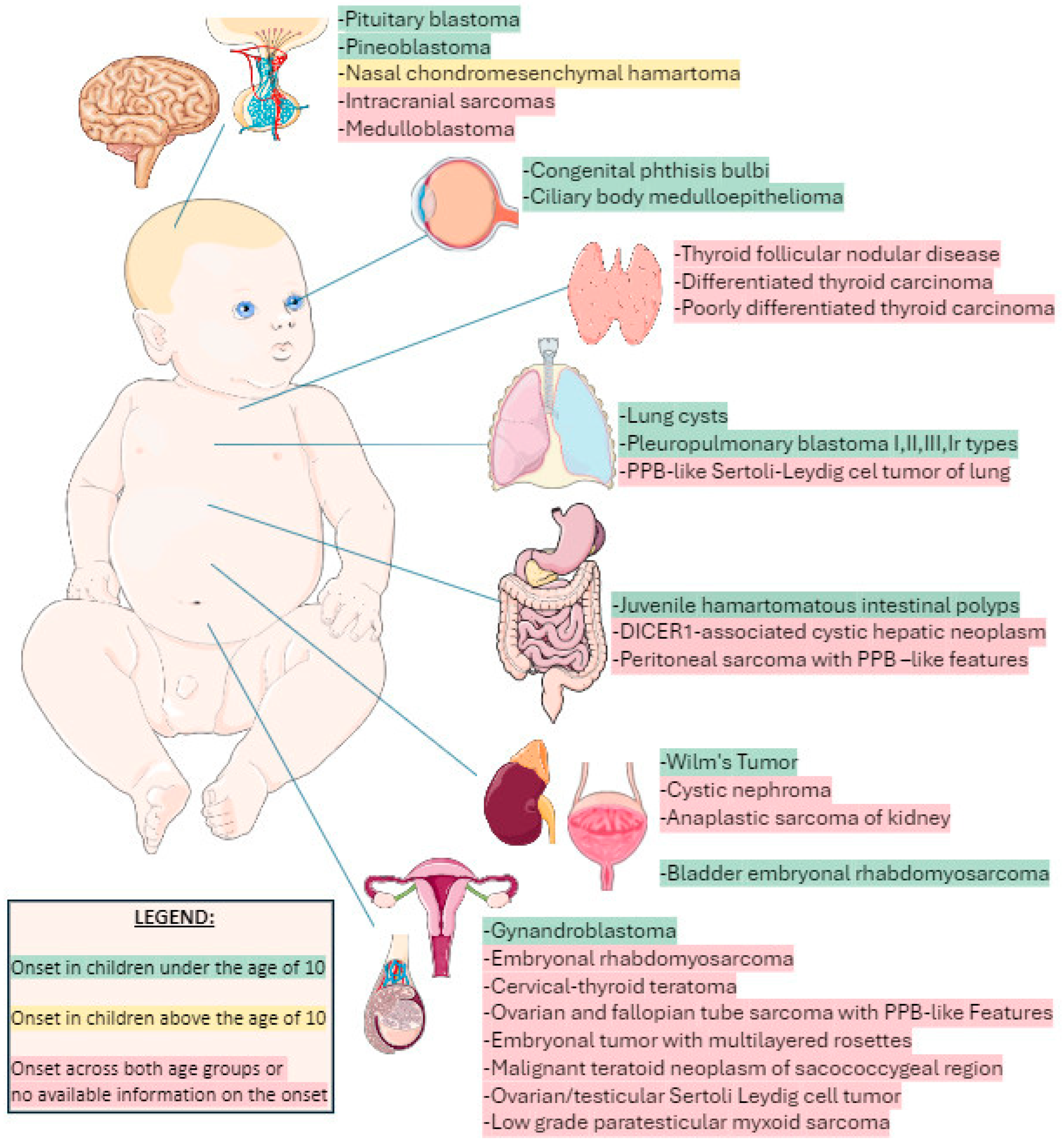 Children 11 00403 g001