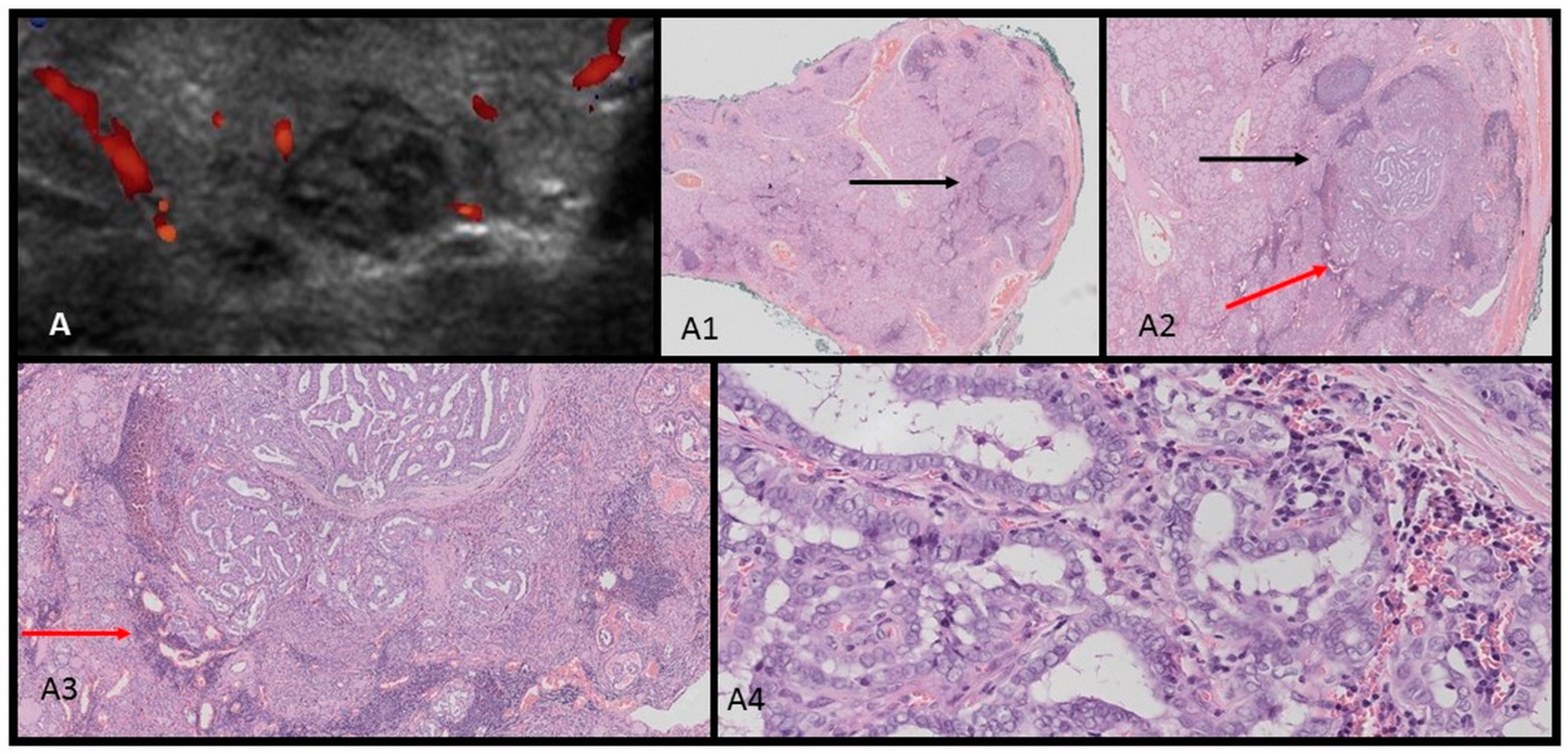 Children 11 00403 g004