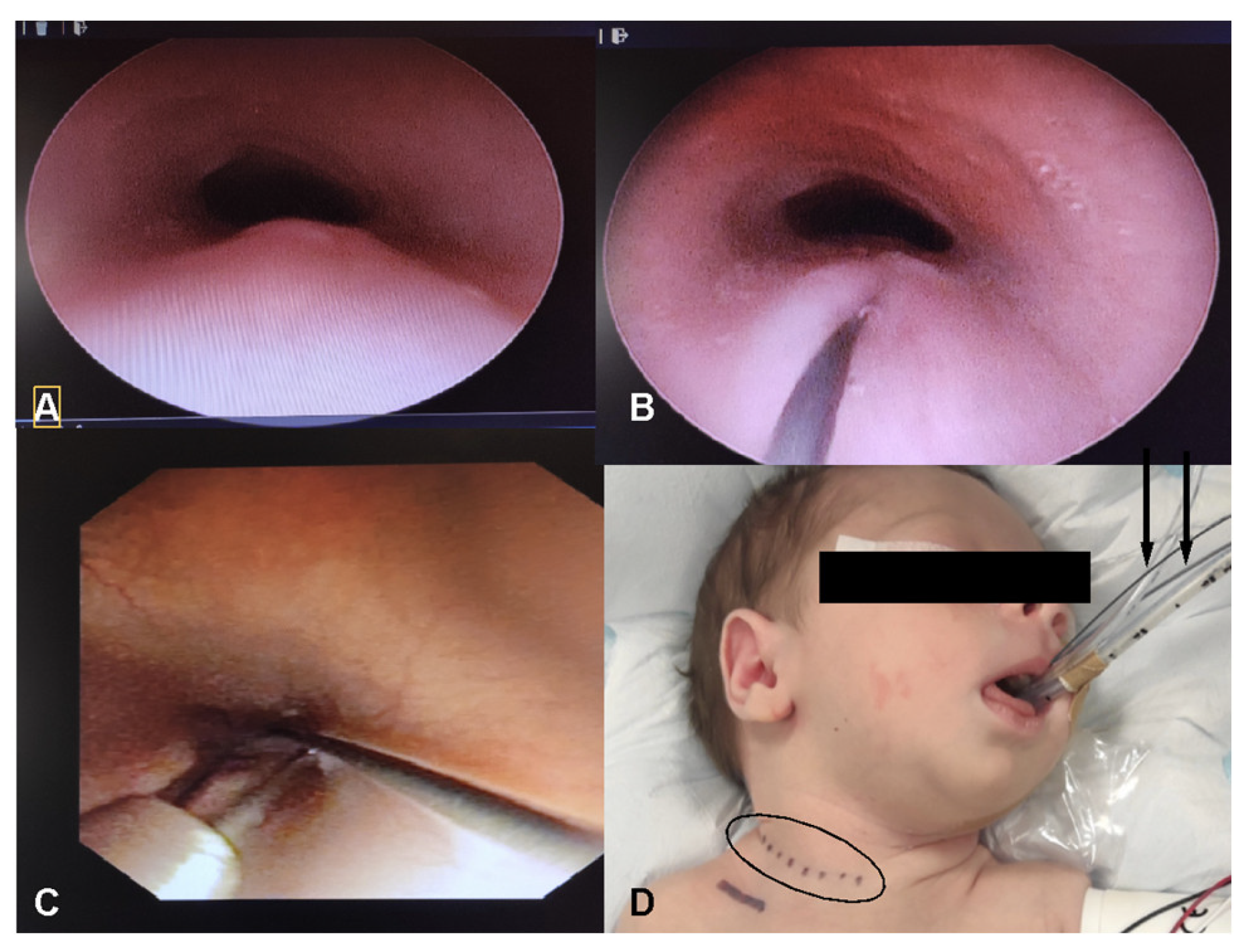 Children 11 00423 g001