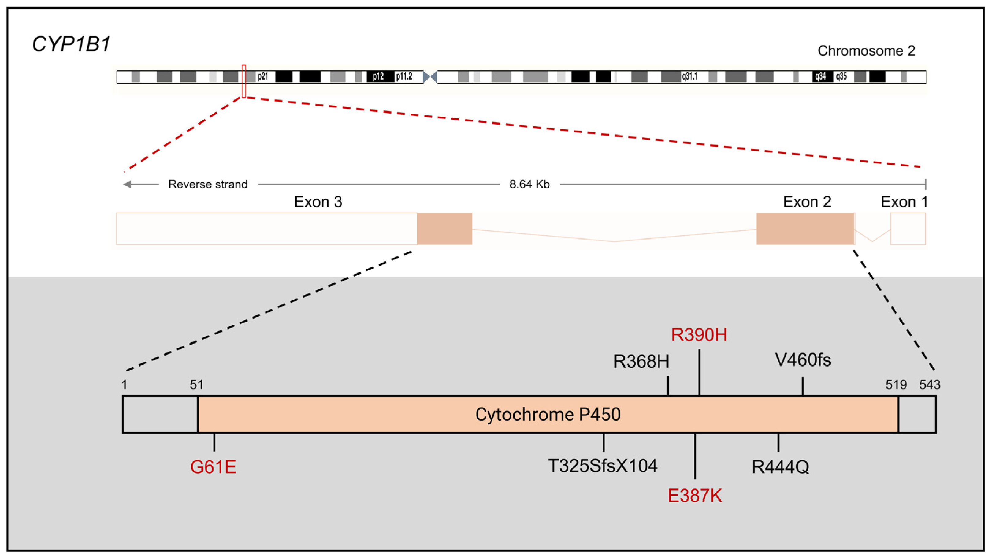 Children 11 00454 g001