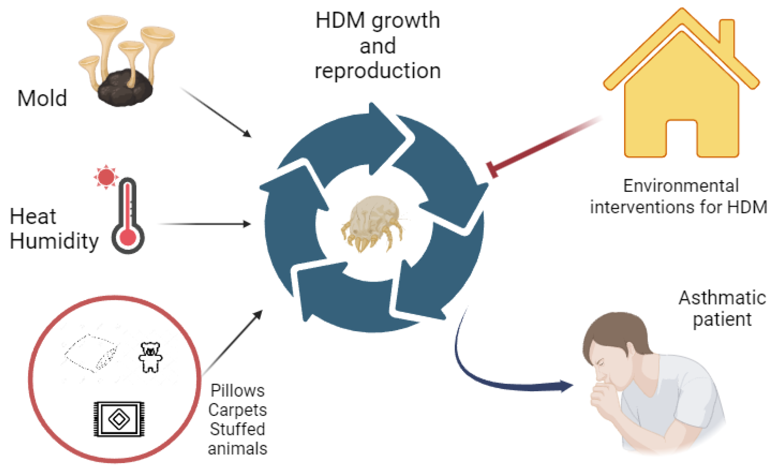 Children 11 00469 g001 Children 11 00469 g001