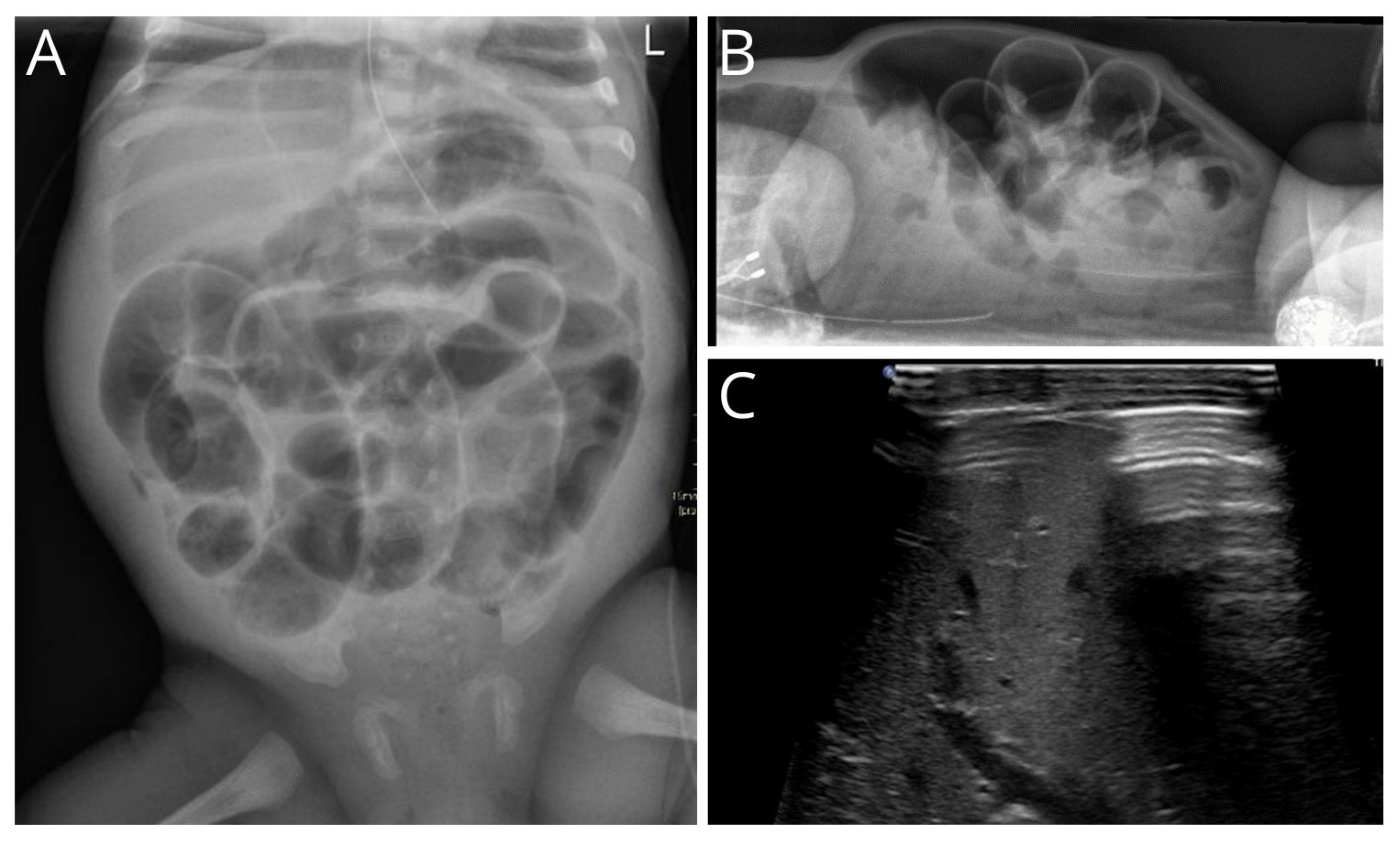 Children 11 00505 g001 Children 11 00505 g001