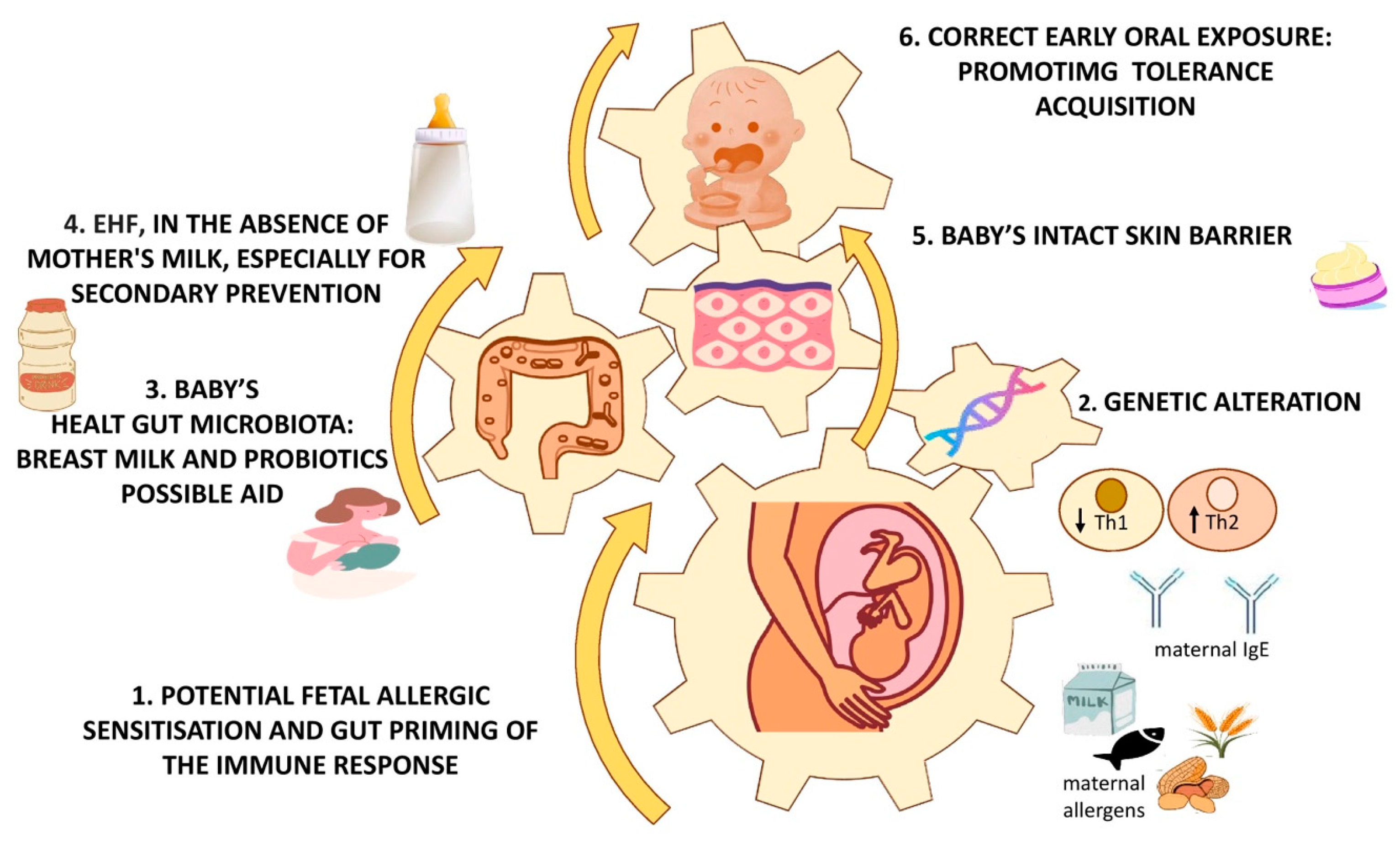 Children 11 00562 g001