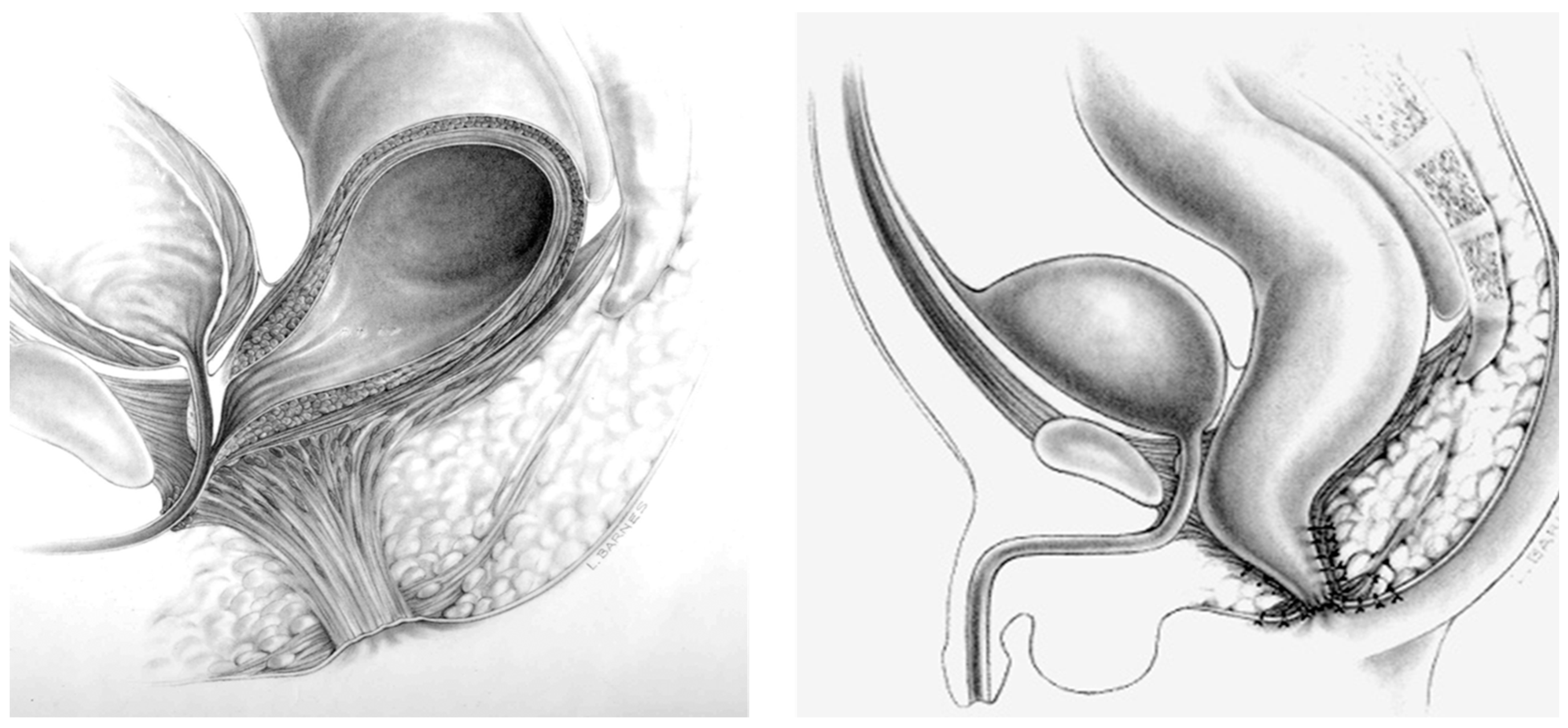 Children 11 00570 g003