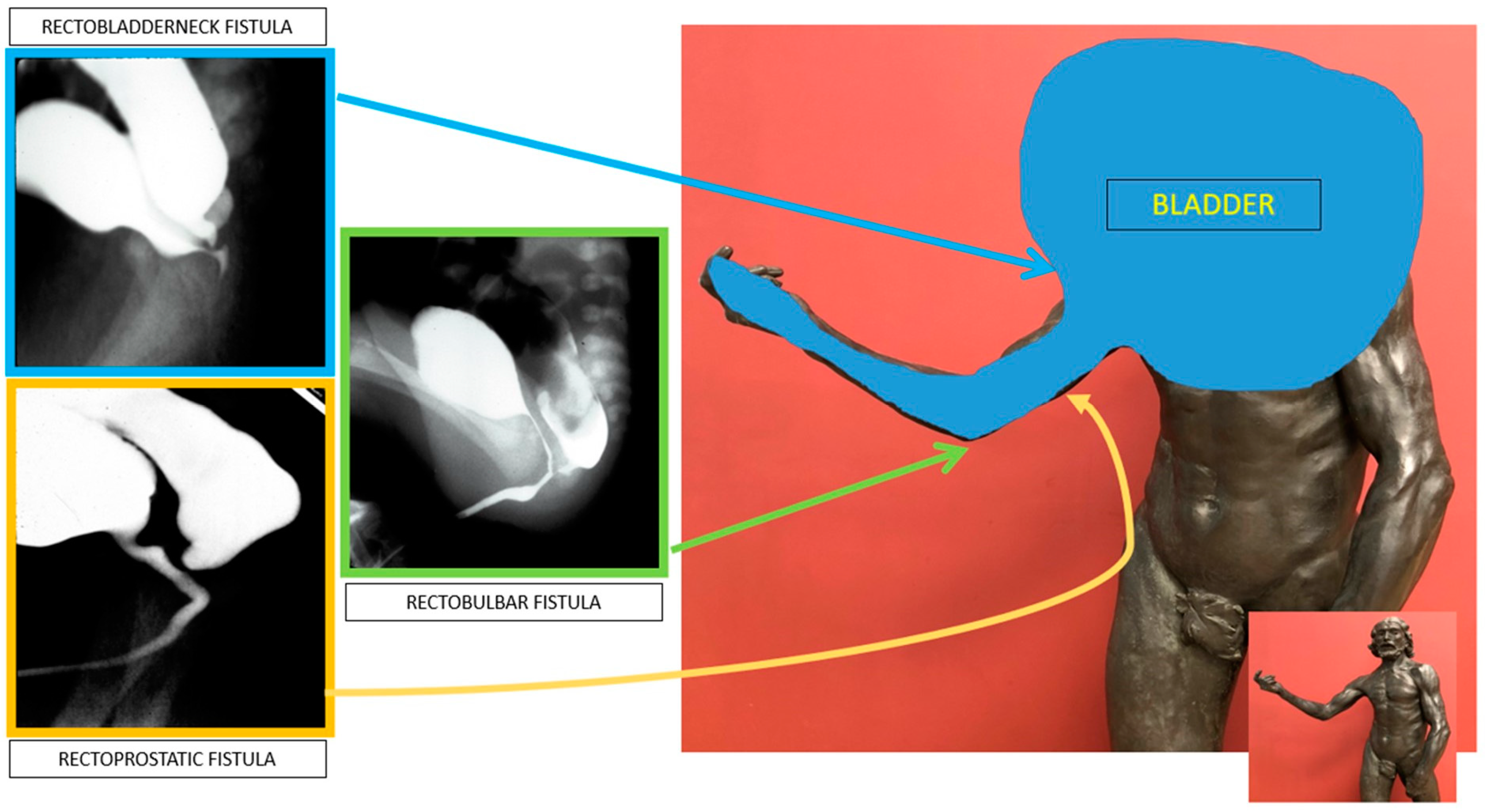 Children 11 00570 g004