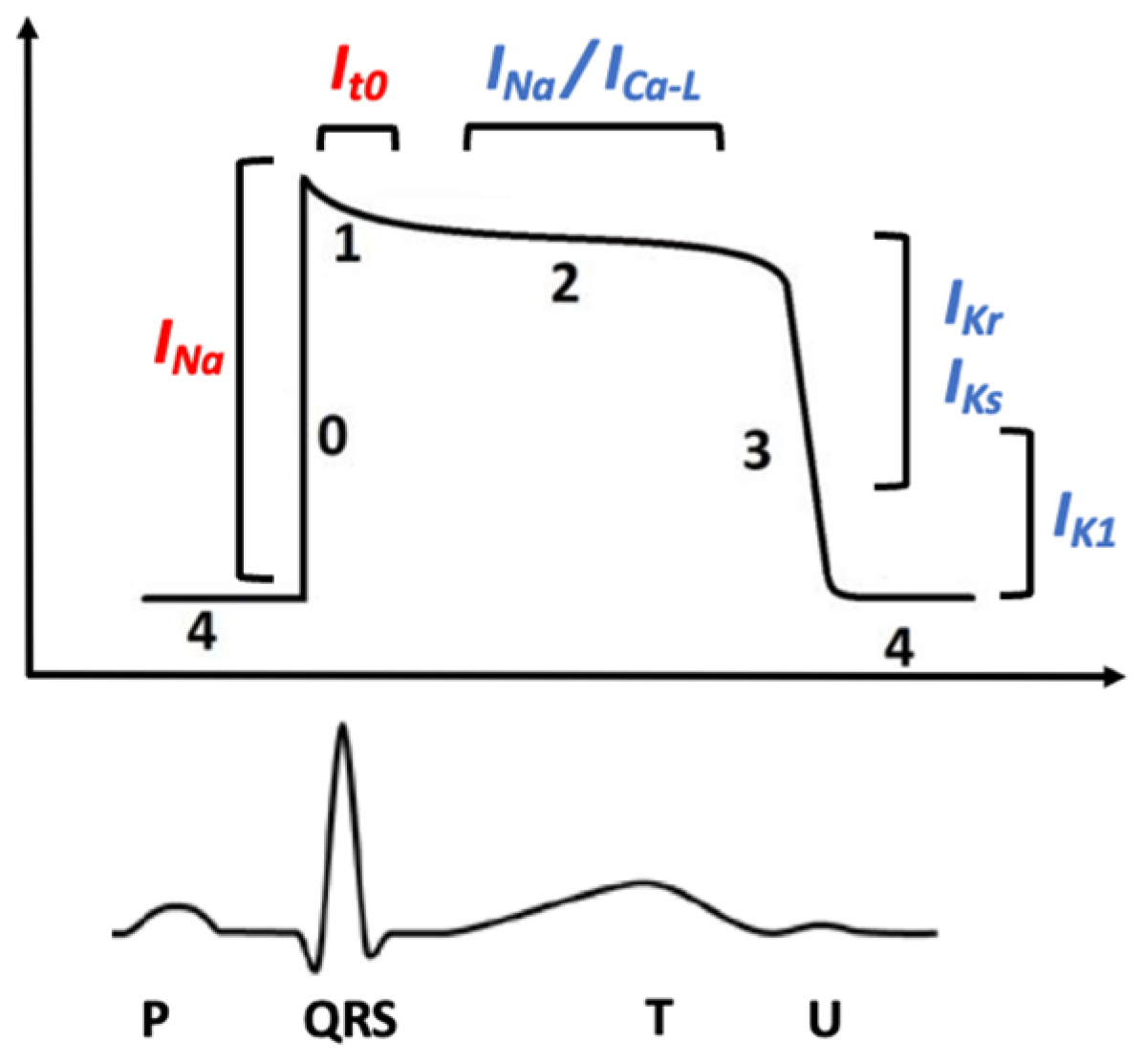 Children 11 00582 g001