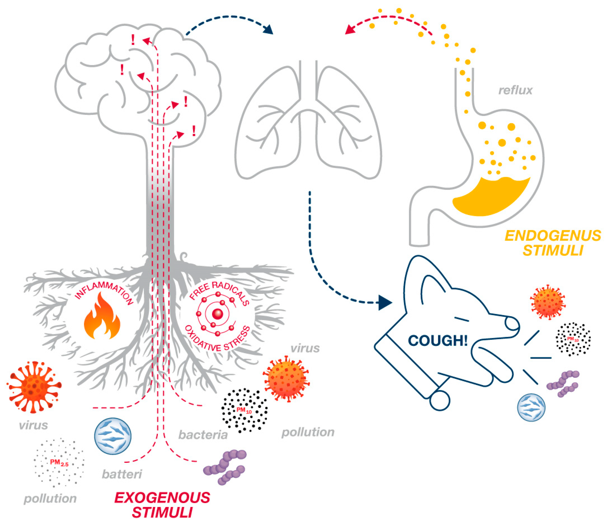 Children 11 00584 g001