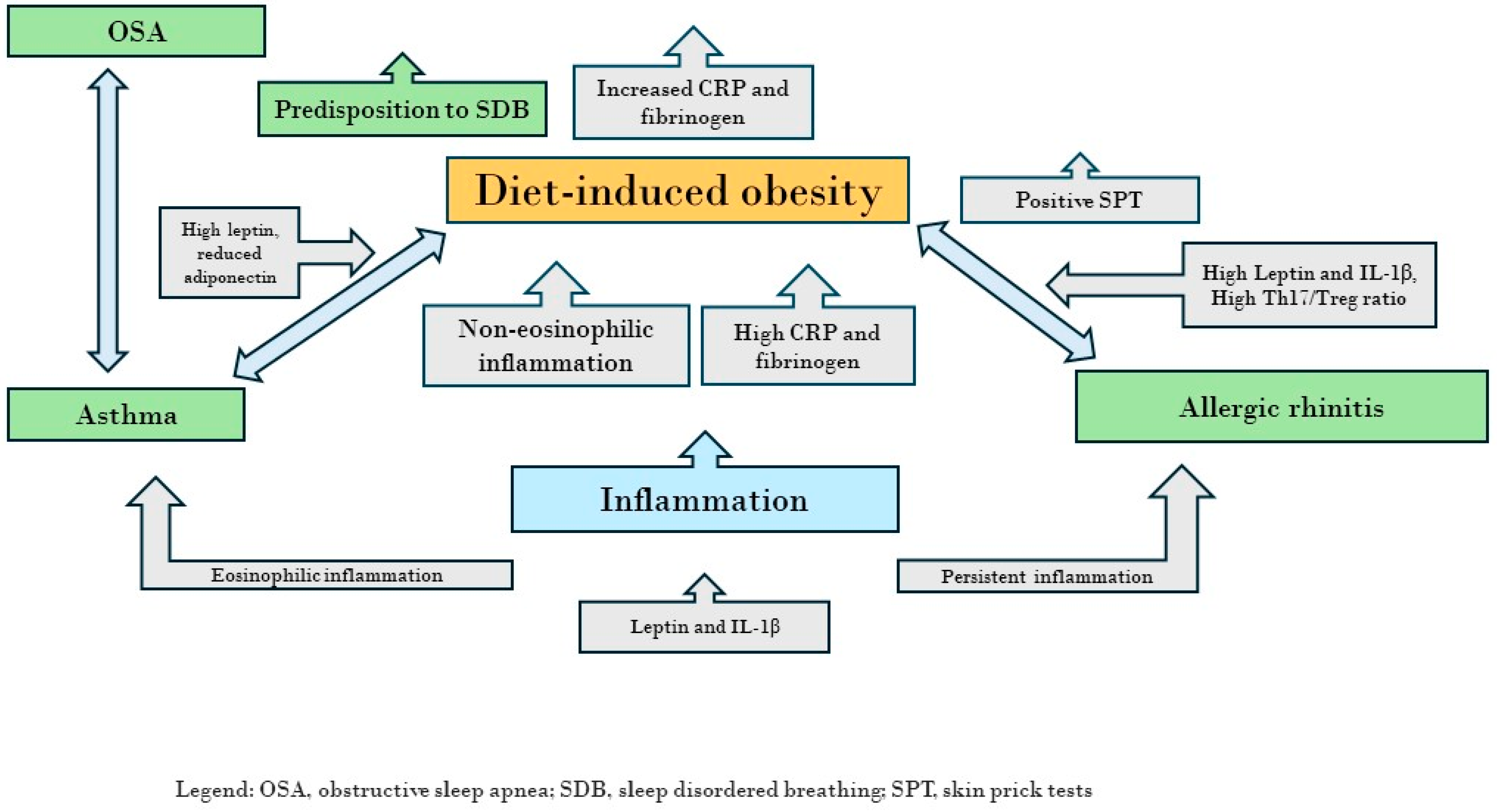 Children 11 00595 g001