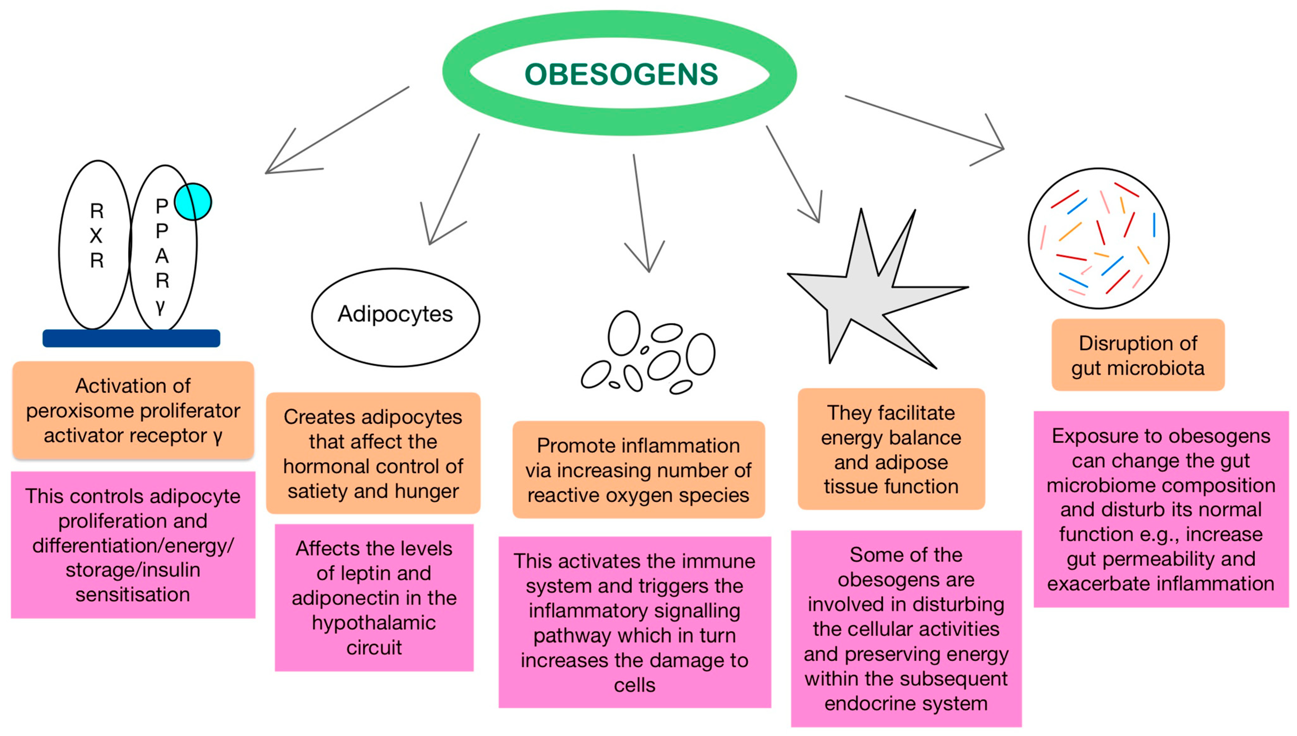 Children 11 00602 g001