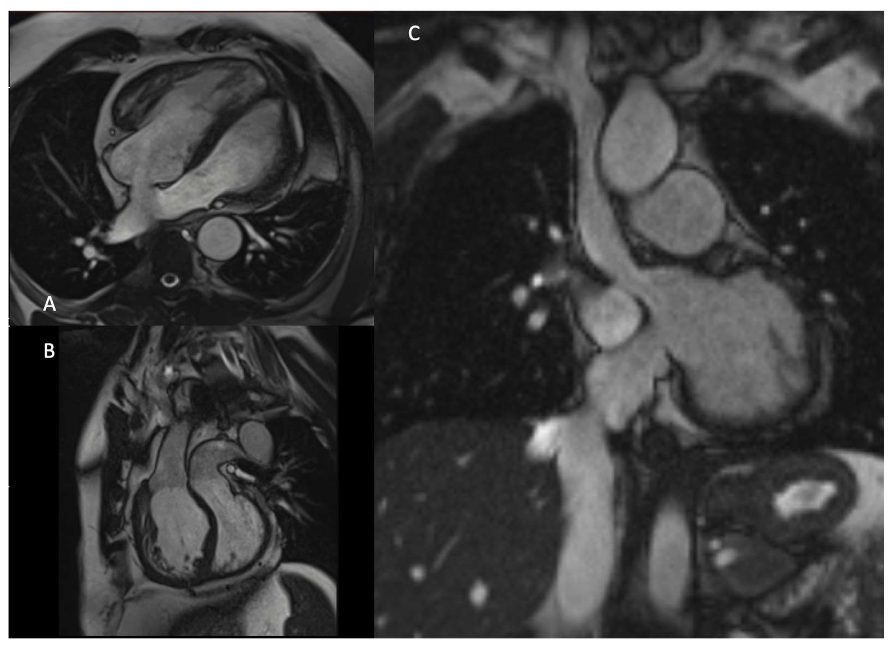 Children 11 00626 g004