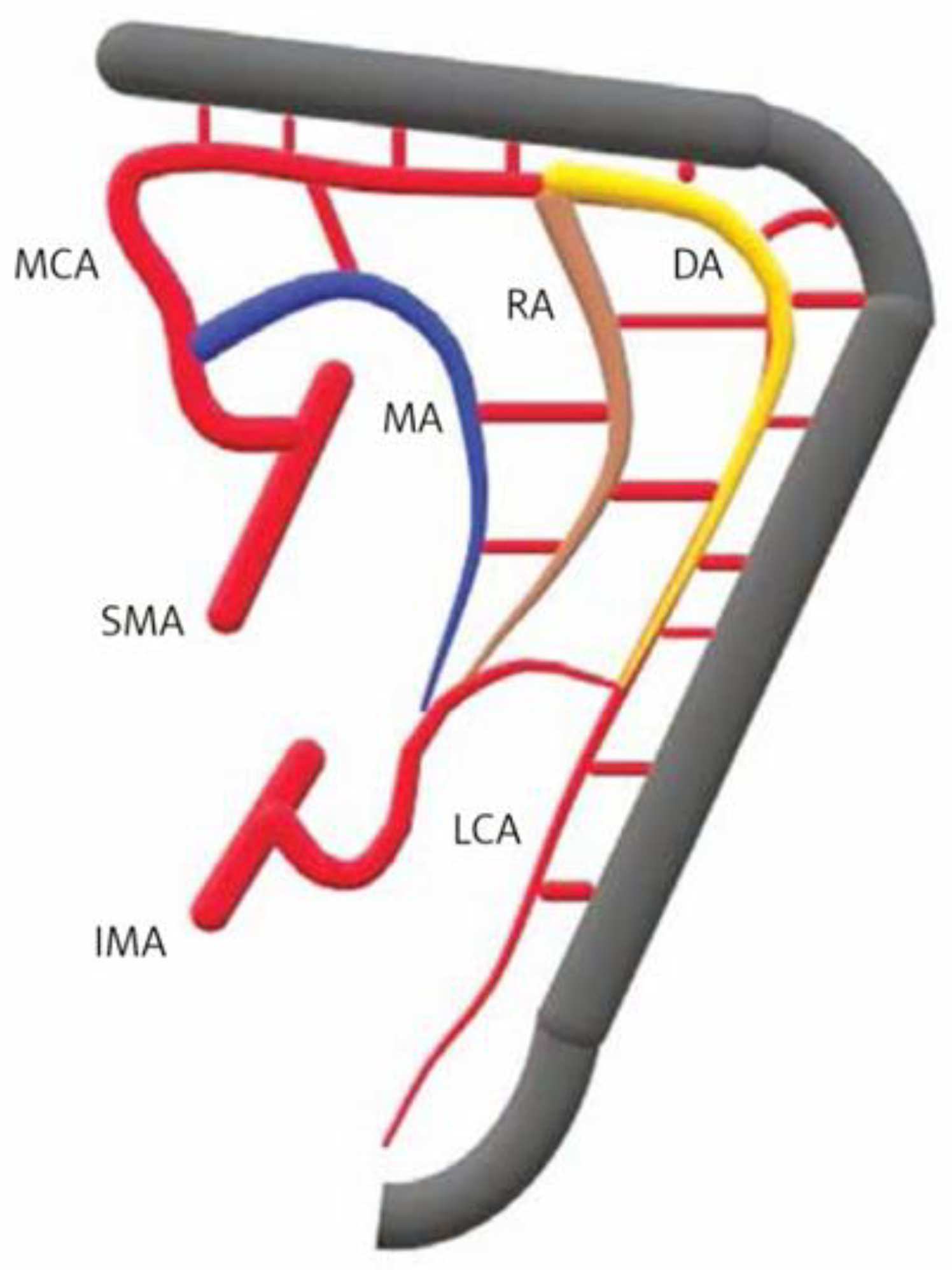 Children 11 00665 g001