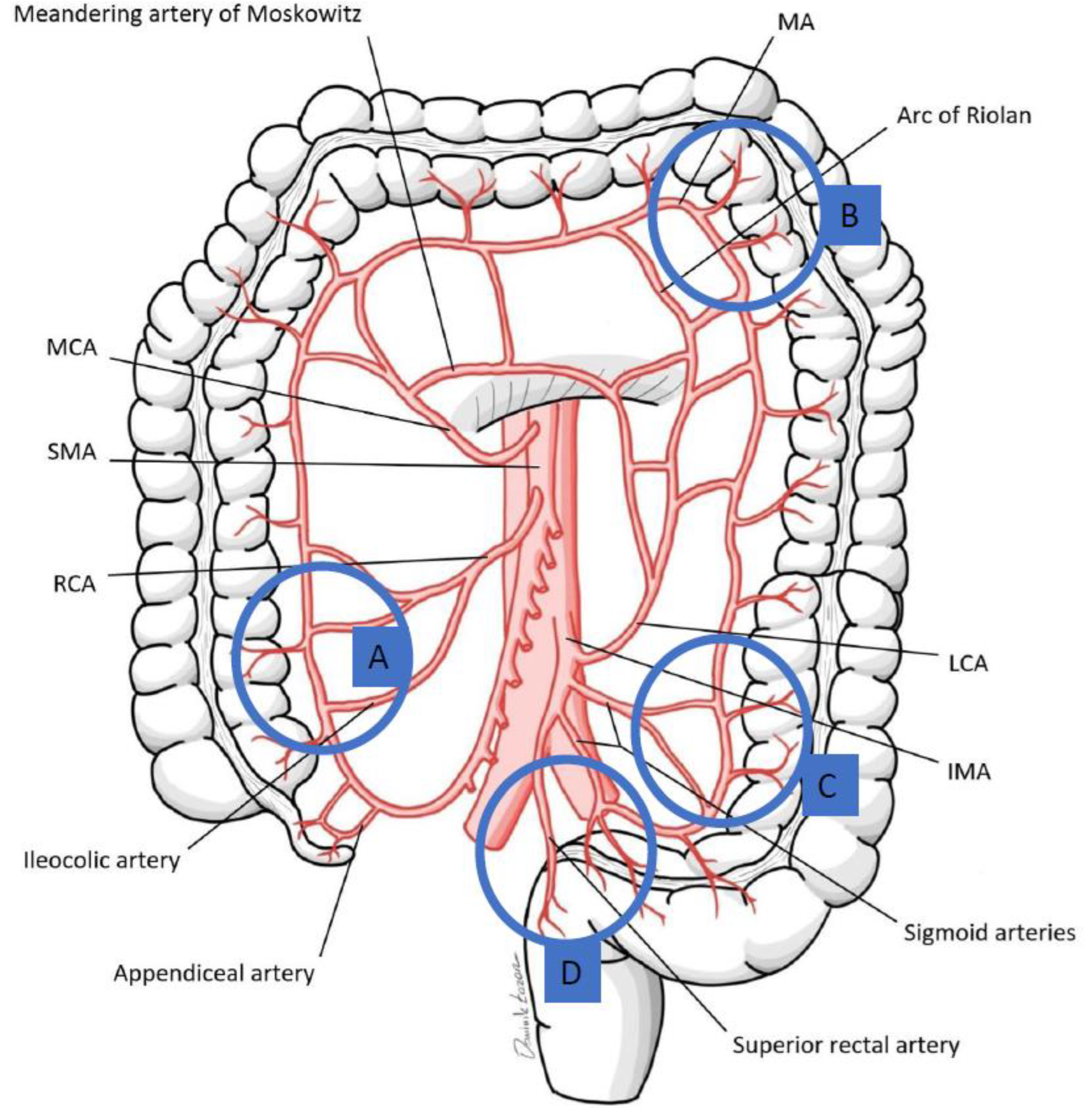 Children 11 00665 g002