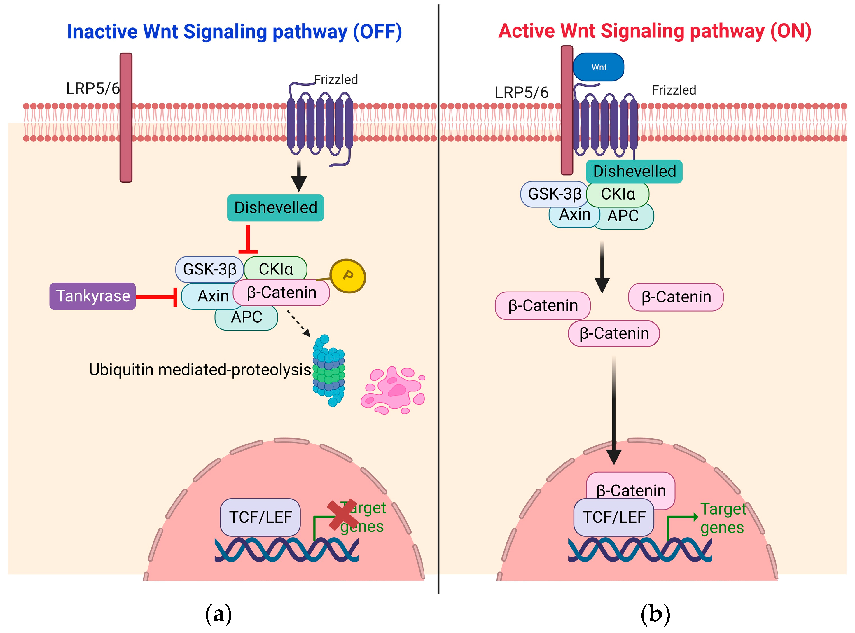 Children 11 00700 g001