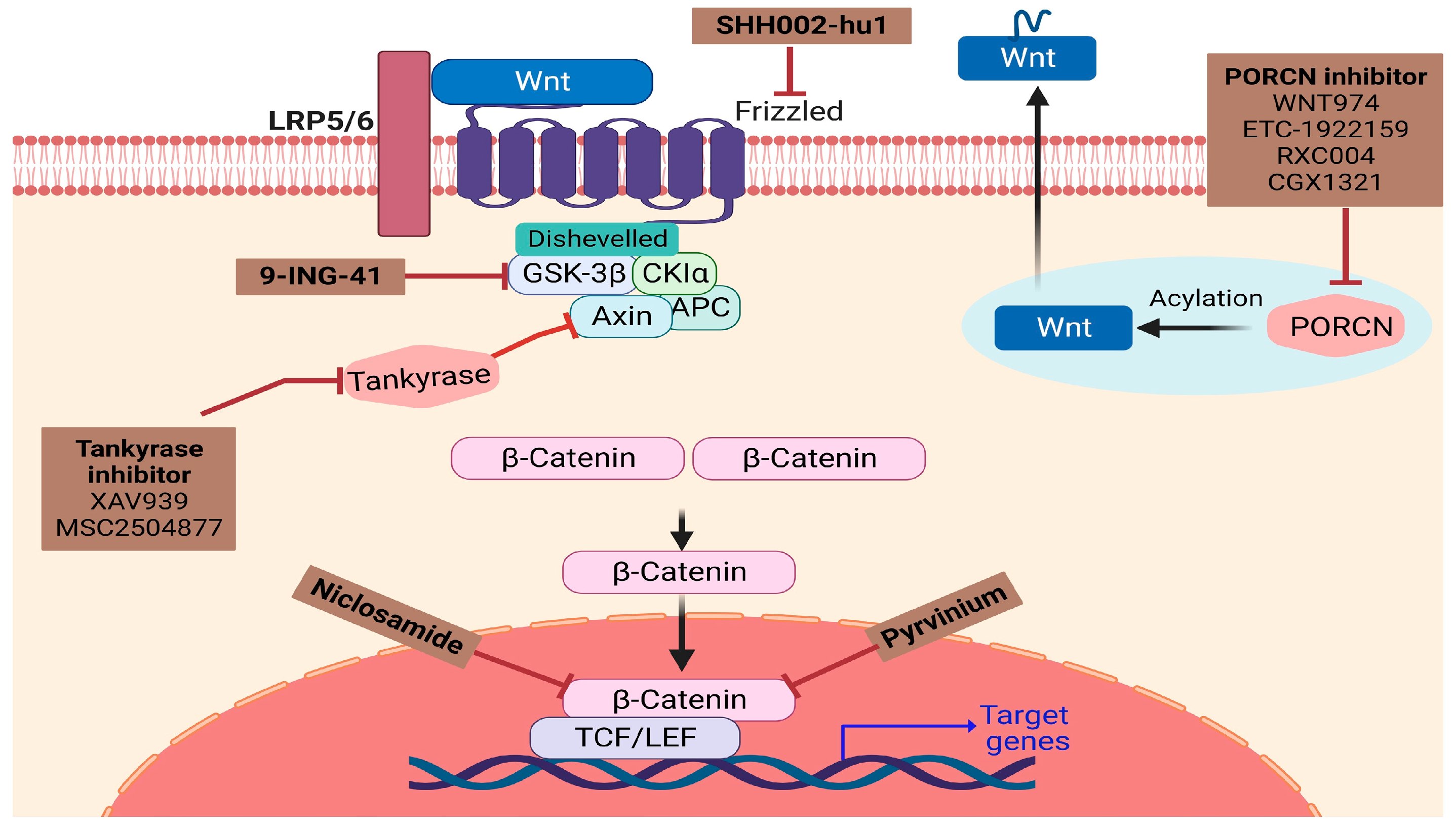 Children 11 00700 g004