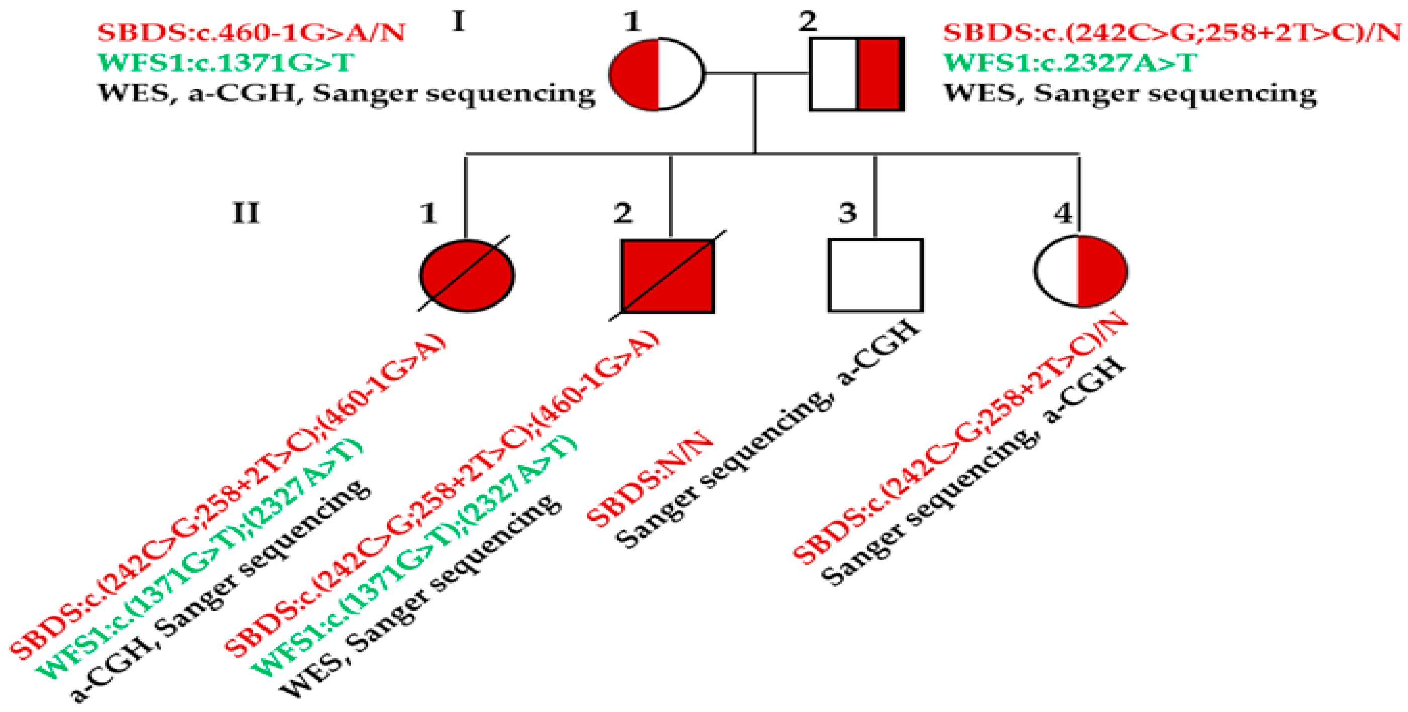 Children 11 00705 g001 Children 11 00705 g001