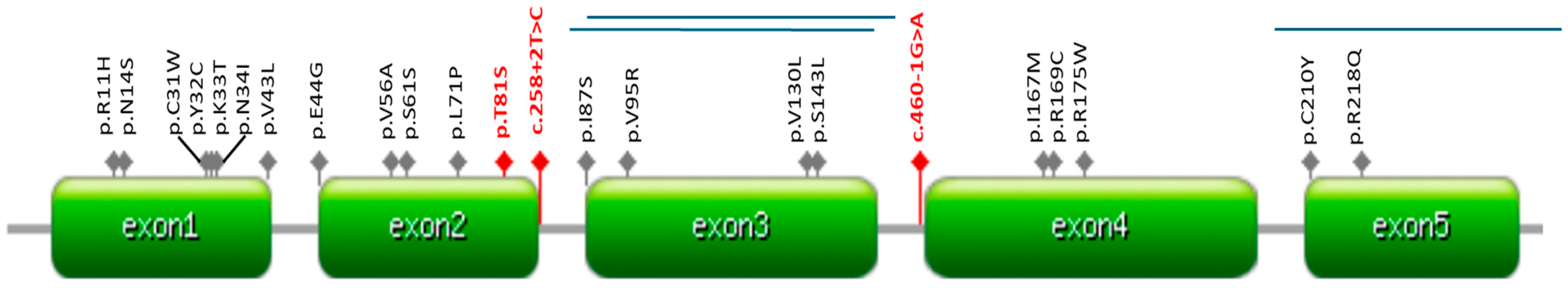 Children 11 00705 g002 Children 11 00705 g002