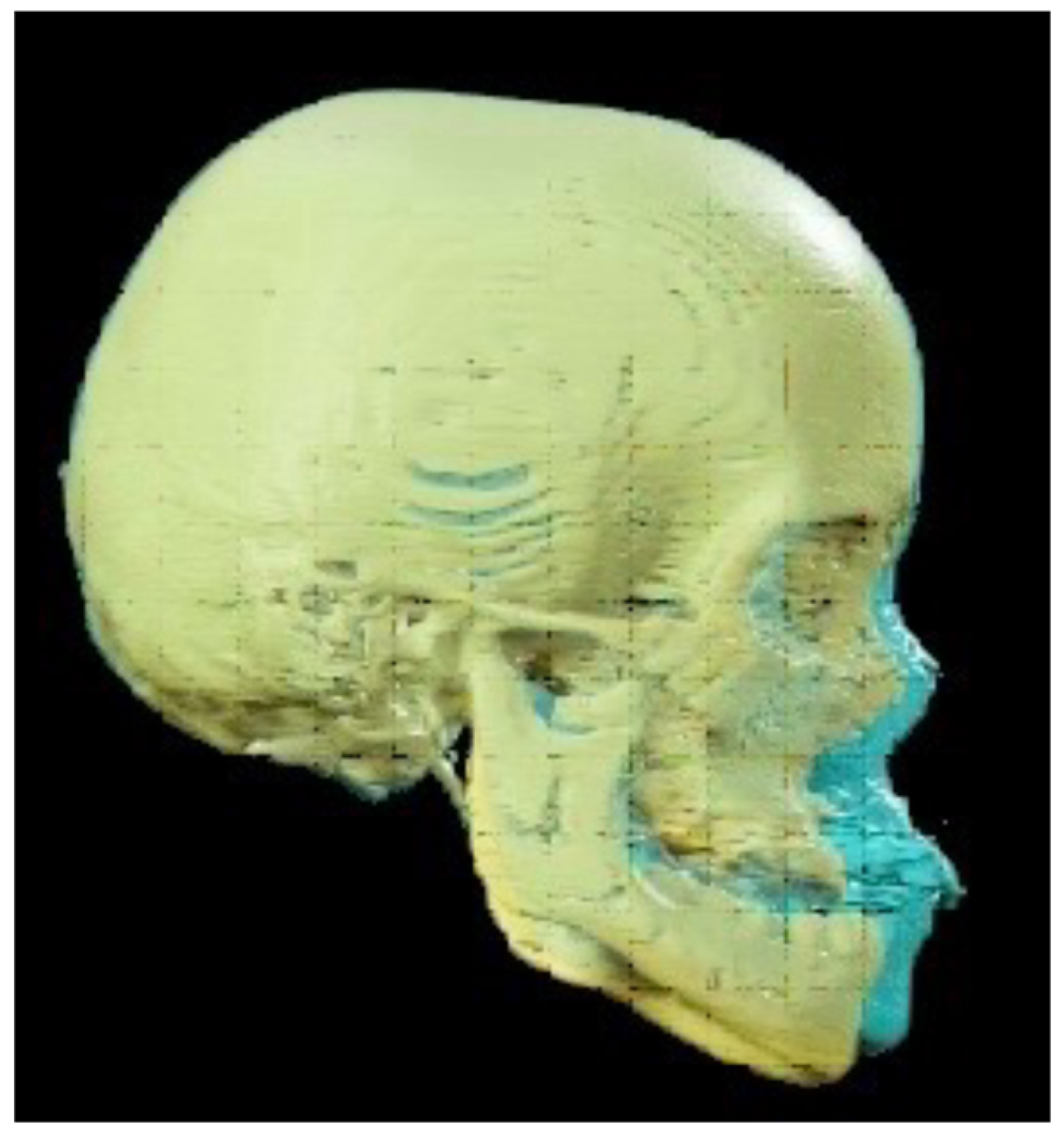 Children 11 00720 g006