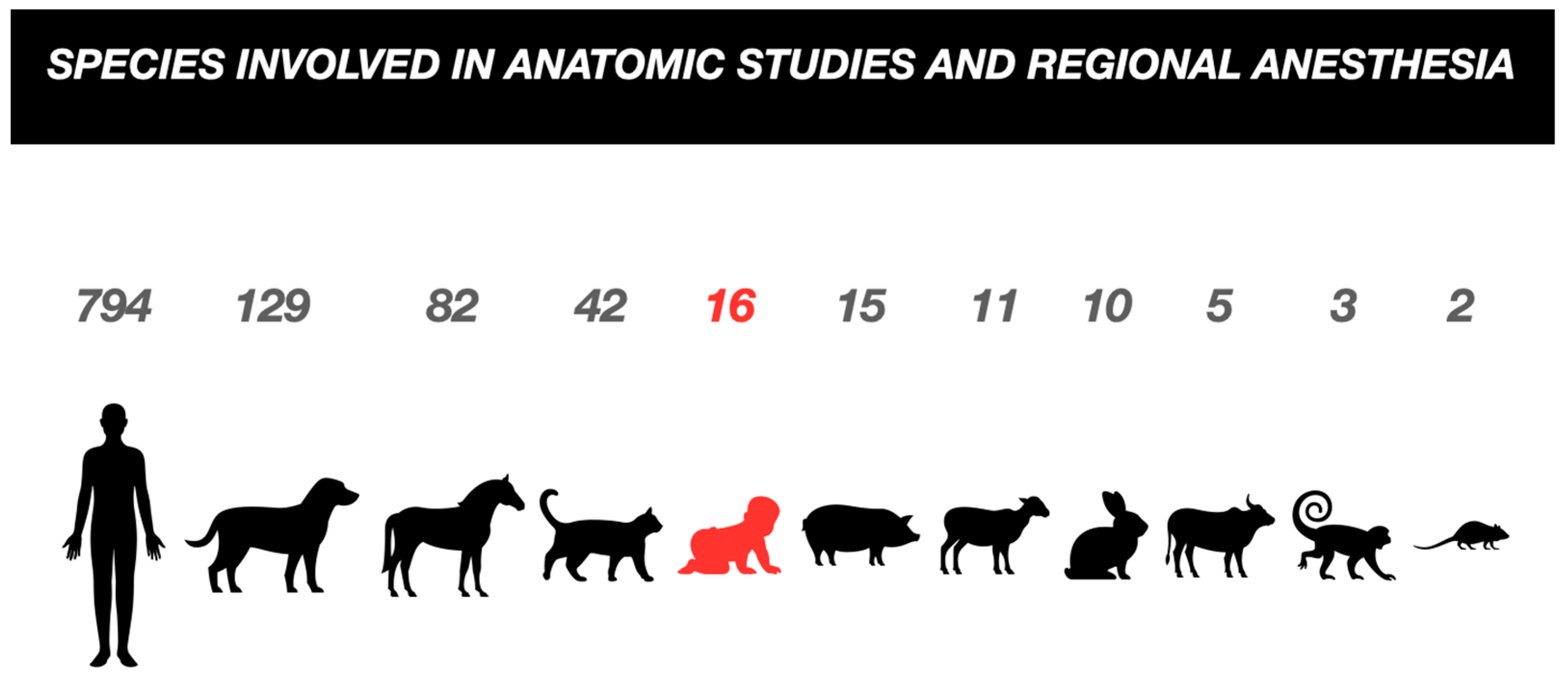 Children 11 00733 g002