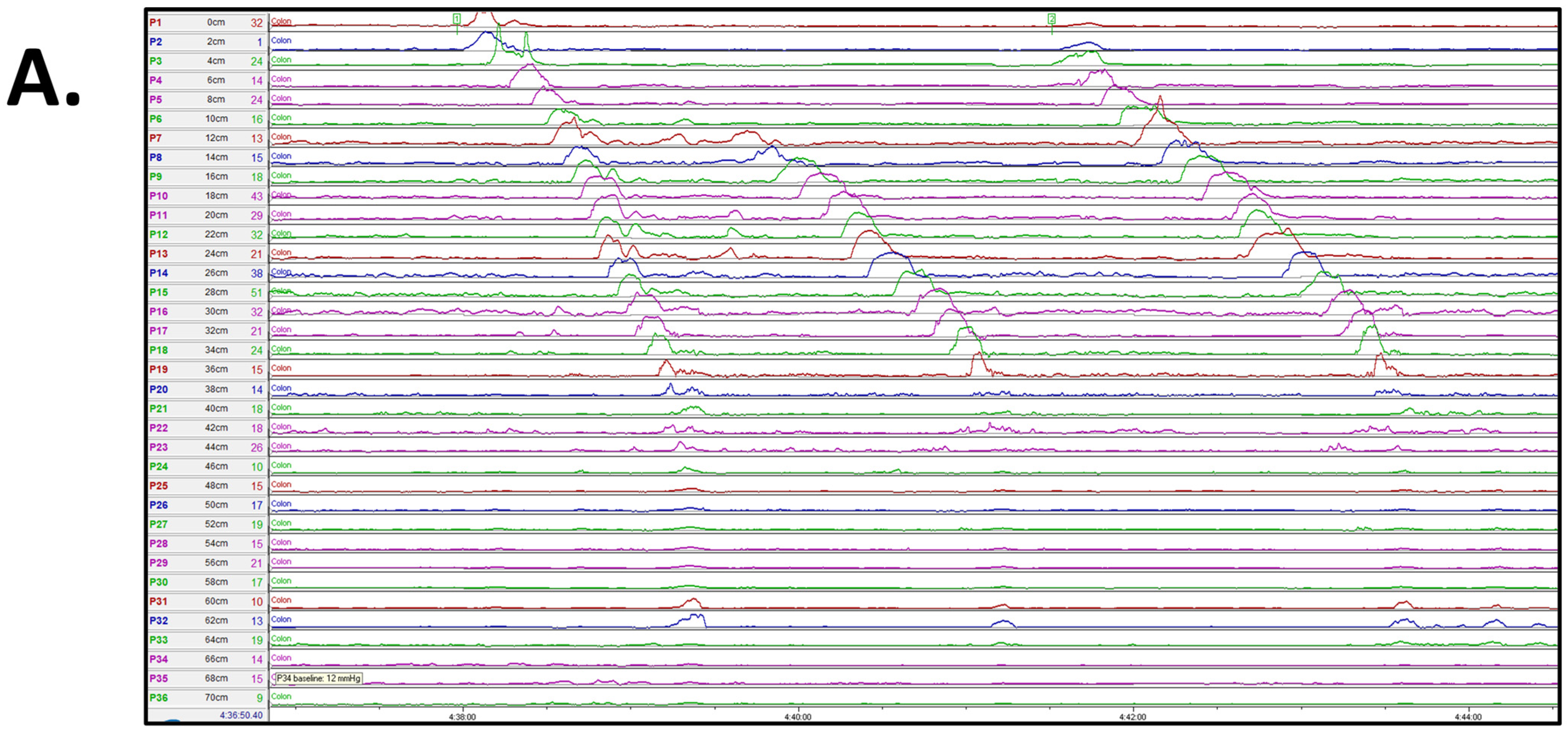 Children 11 00768 g002a