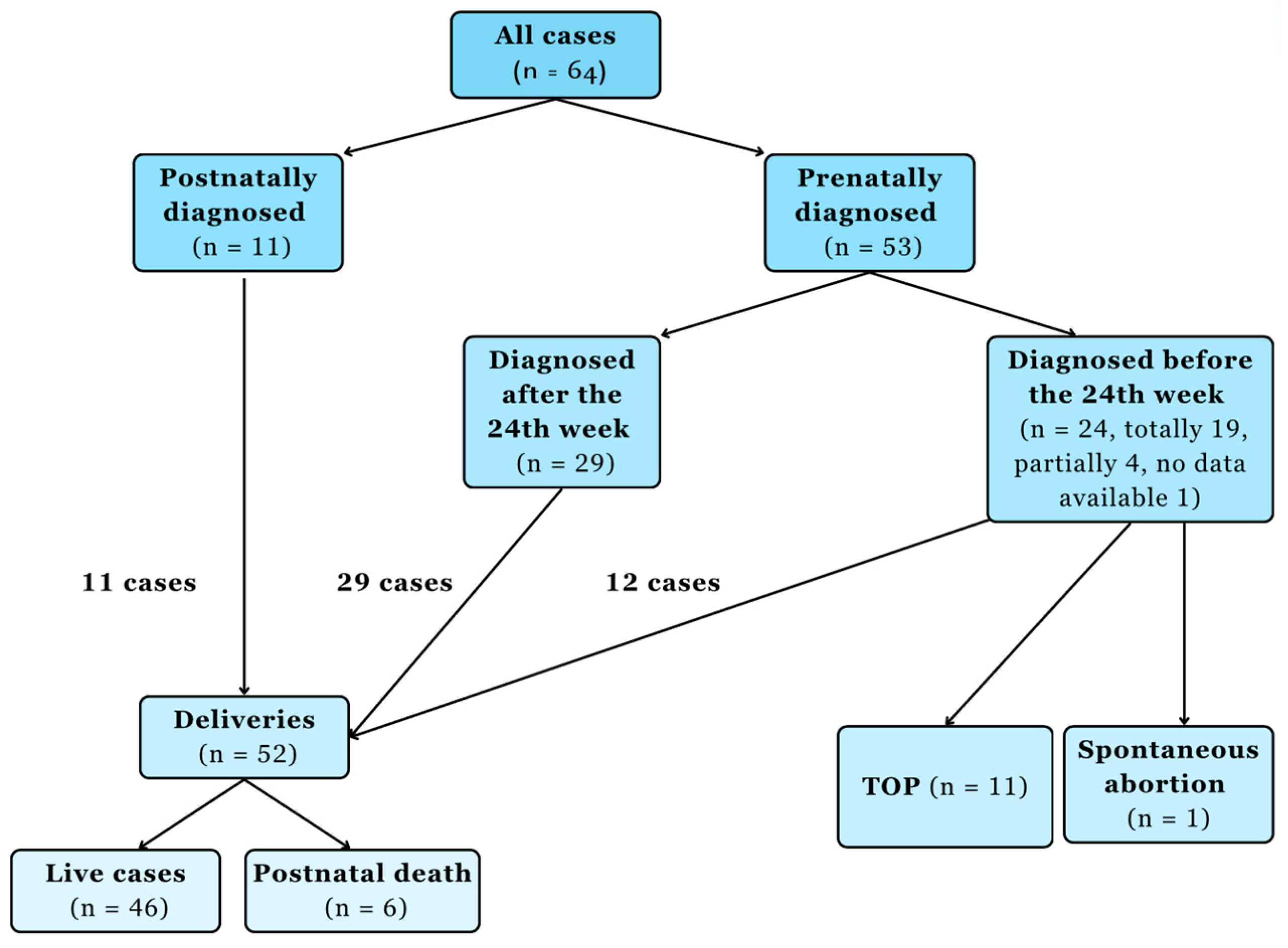 Children 11 00797 g001 Children 11 00797 g001