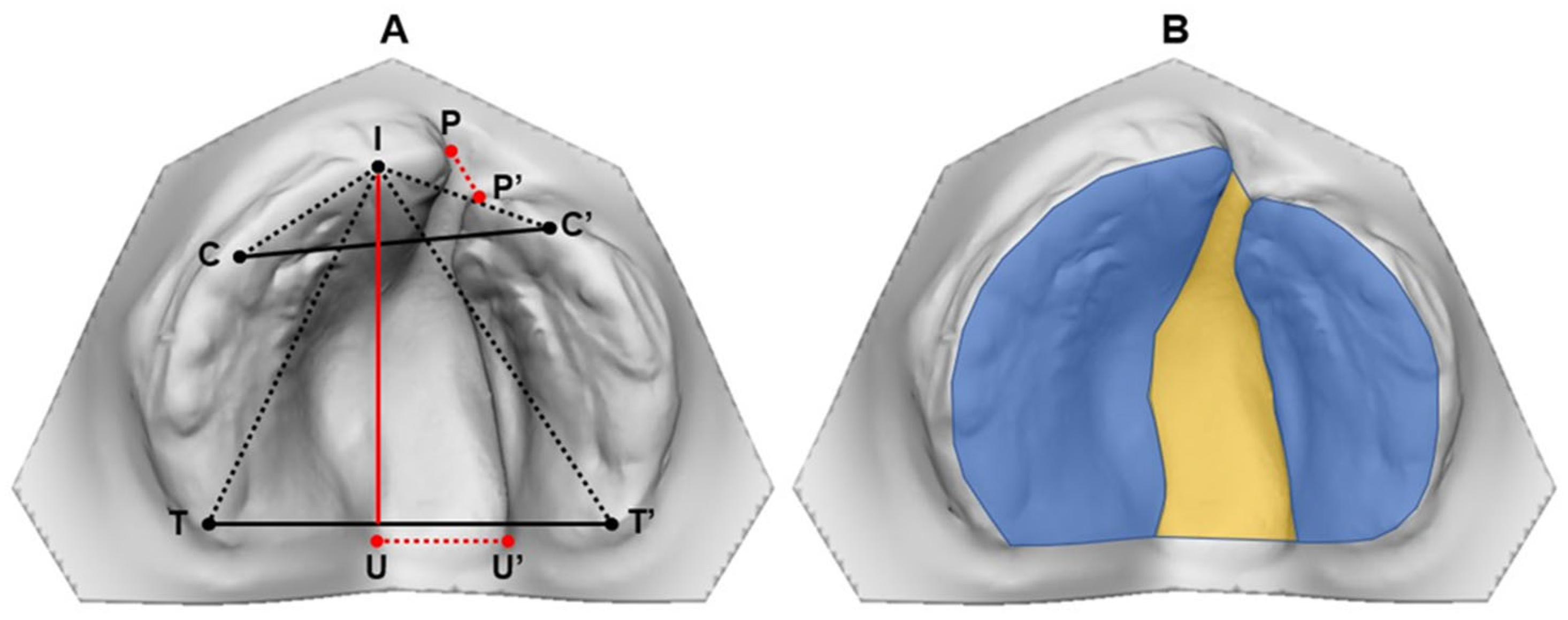 Children 11 00824 g001
