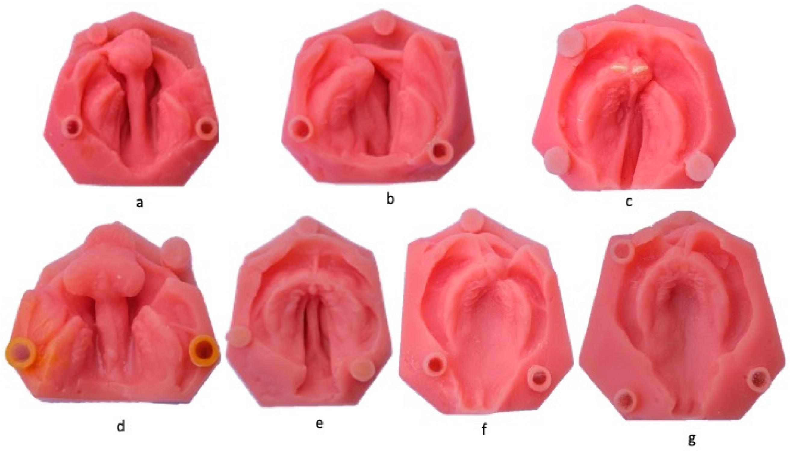 Children 11 00827 g001