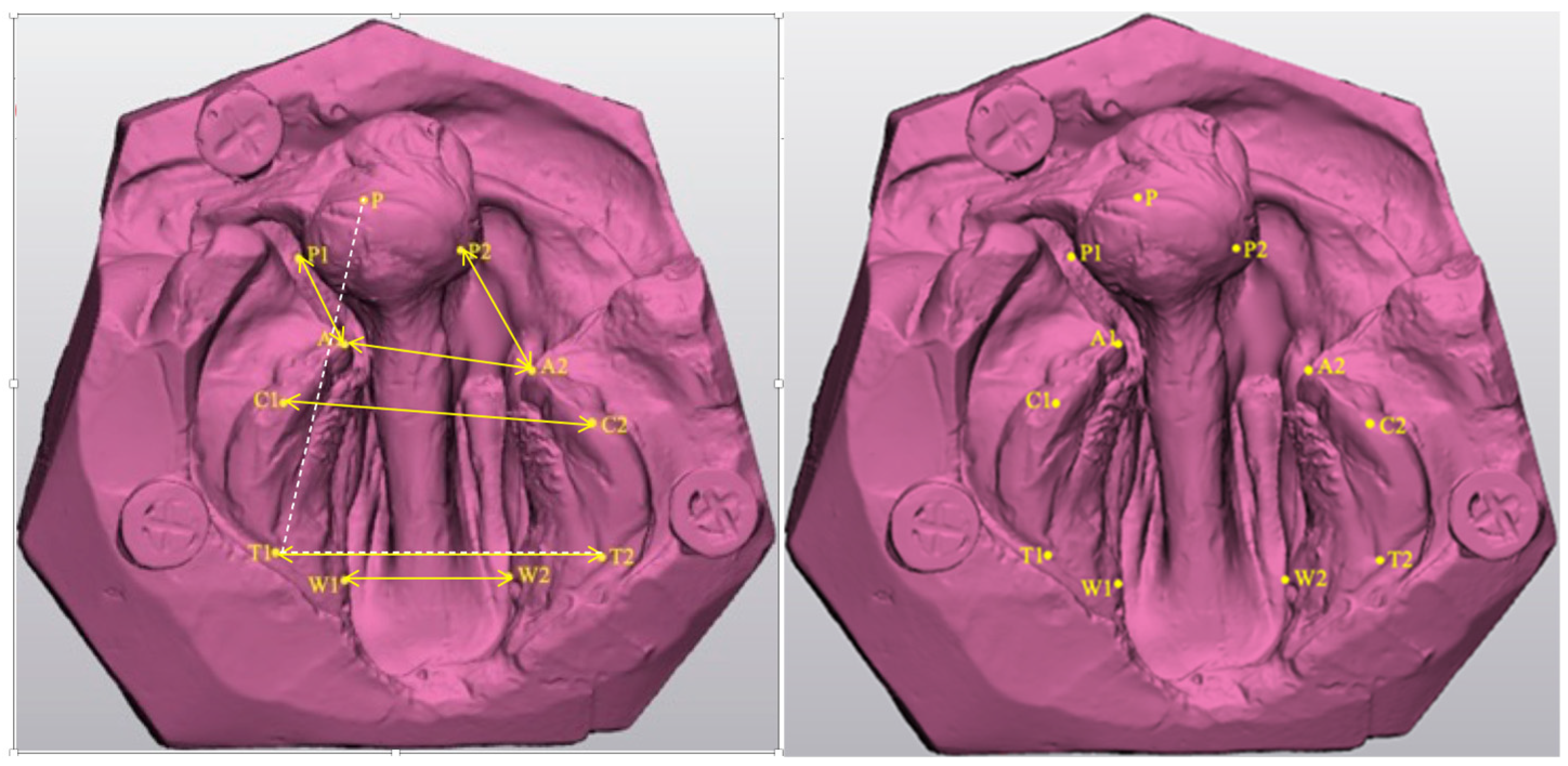 Children 11 00827 g003