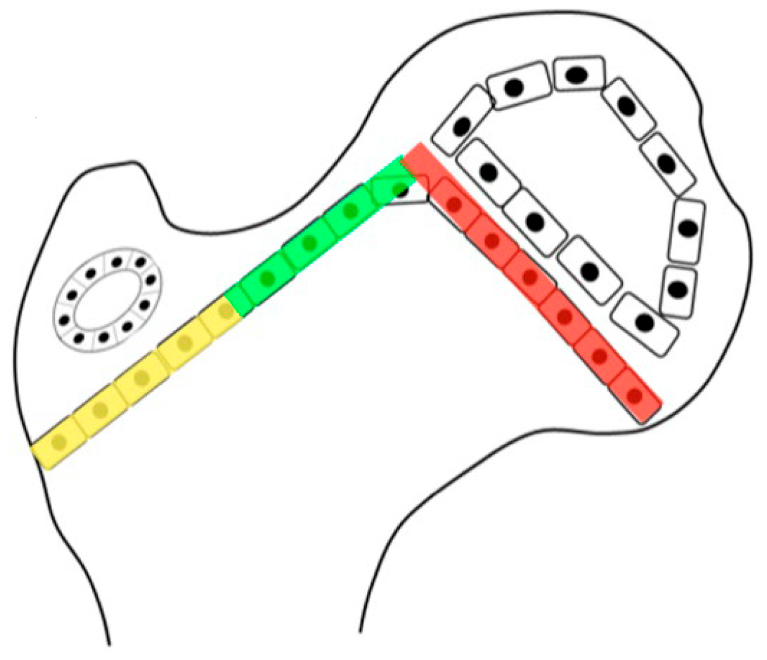 Children 11 00844 g001