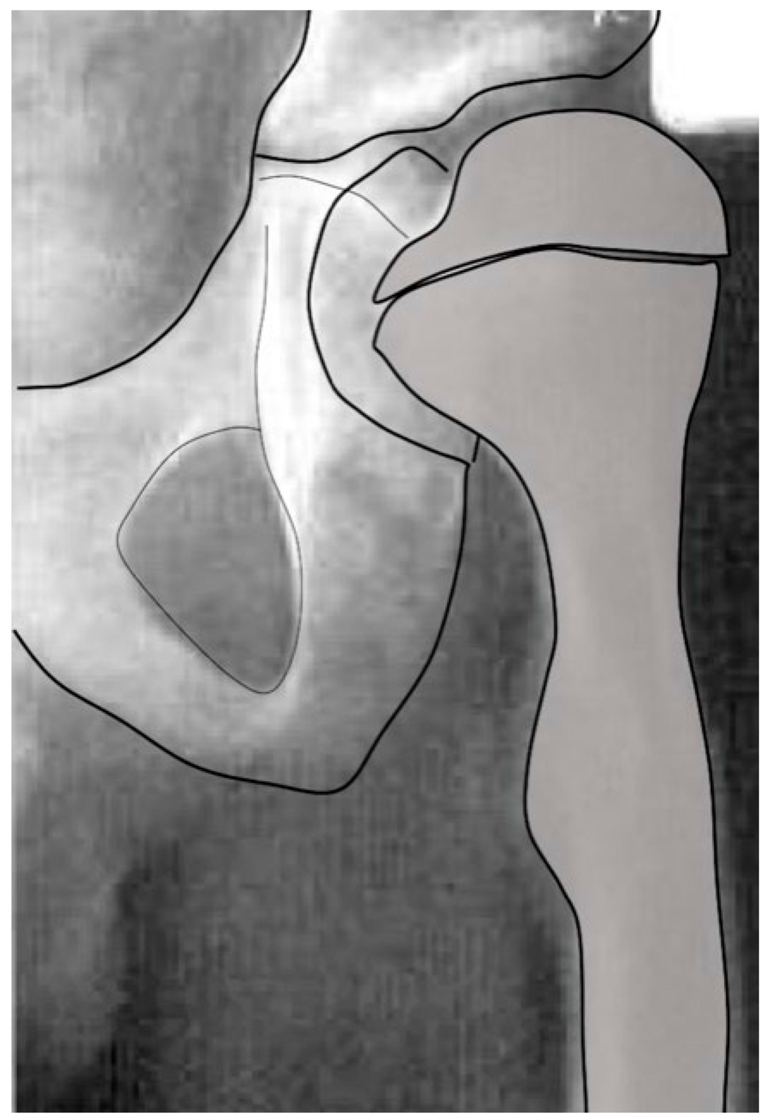 Children 11 00844 g007