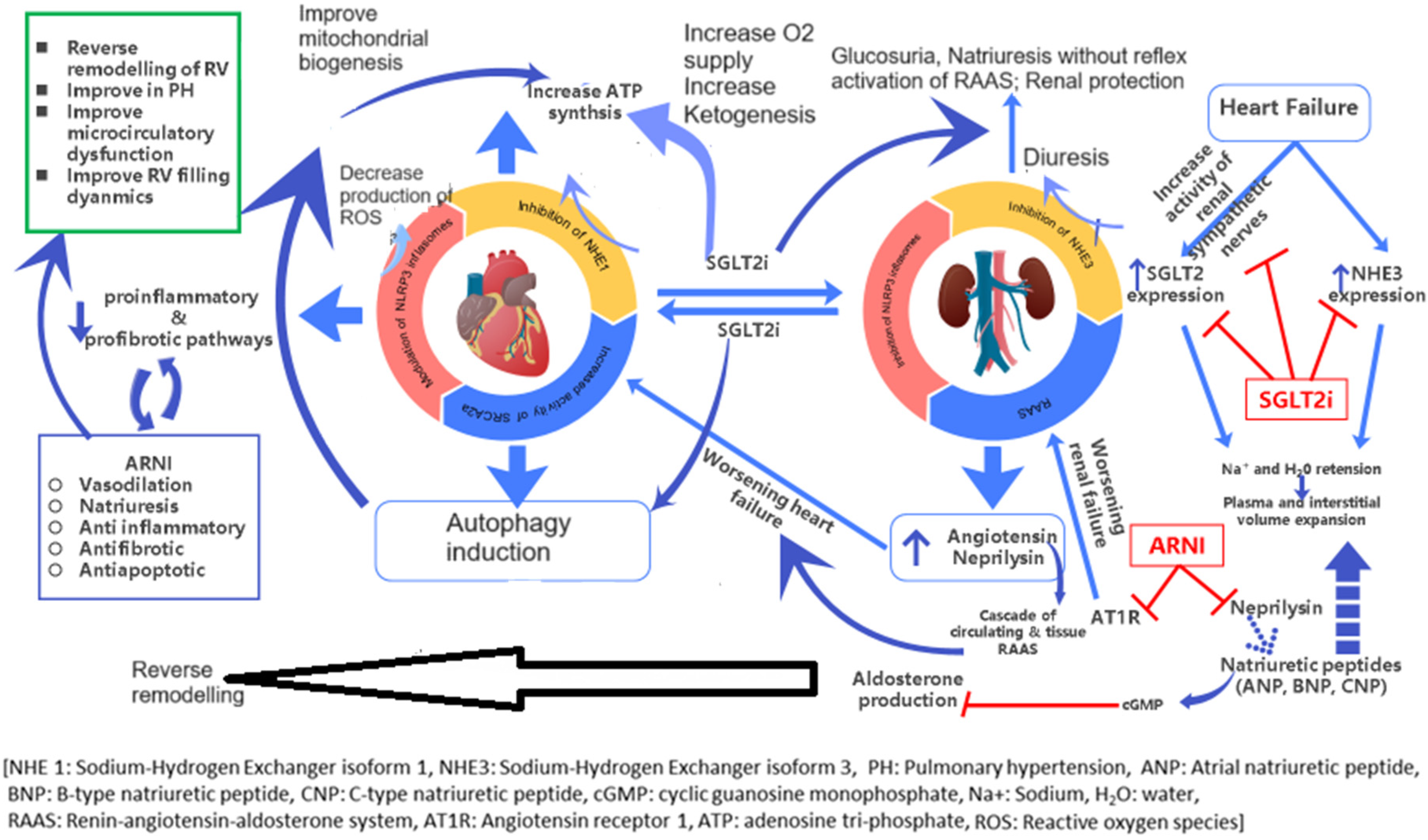 Children 11 00859 g002