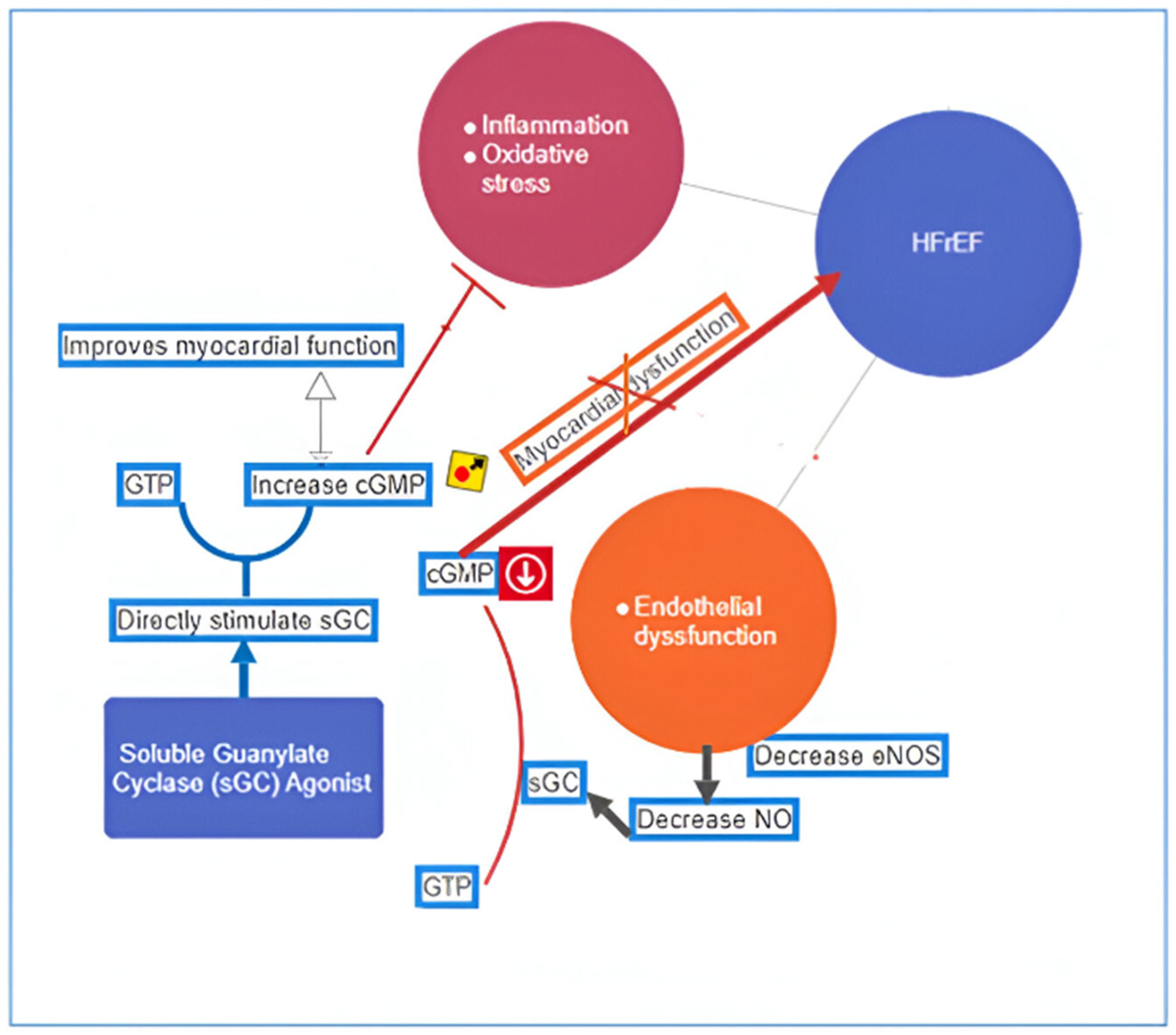 Children 11 00859 g003