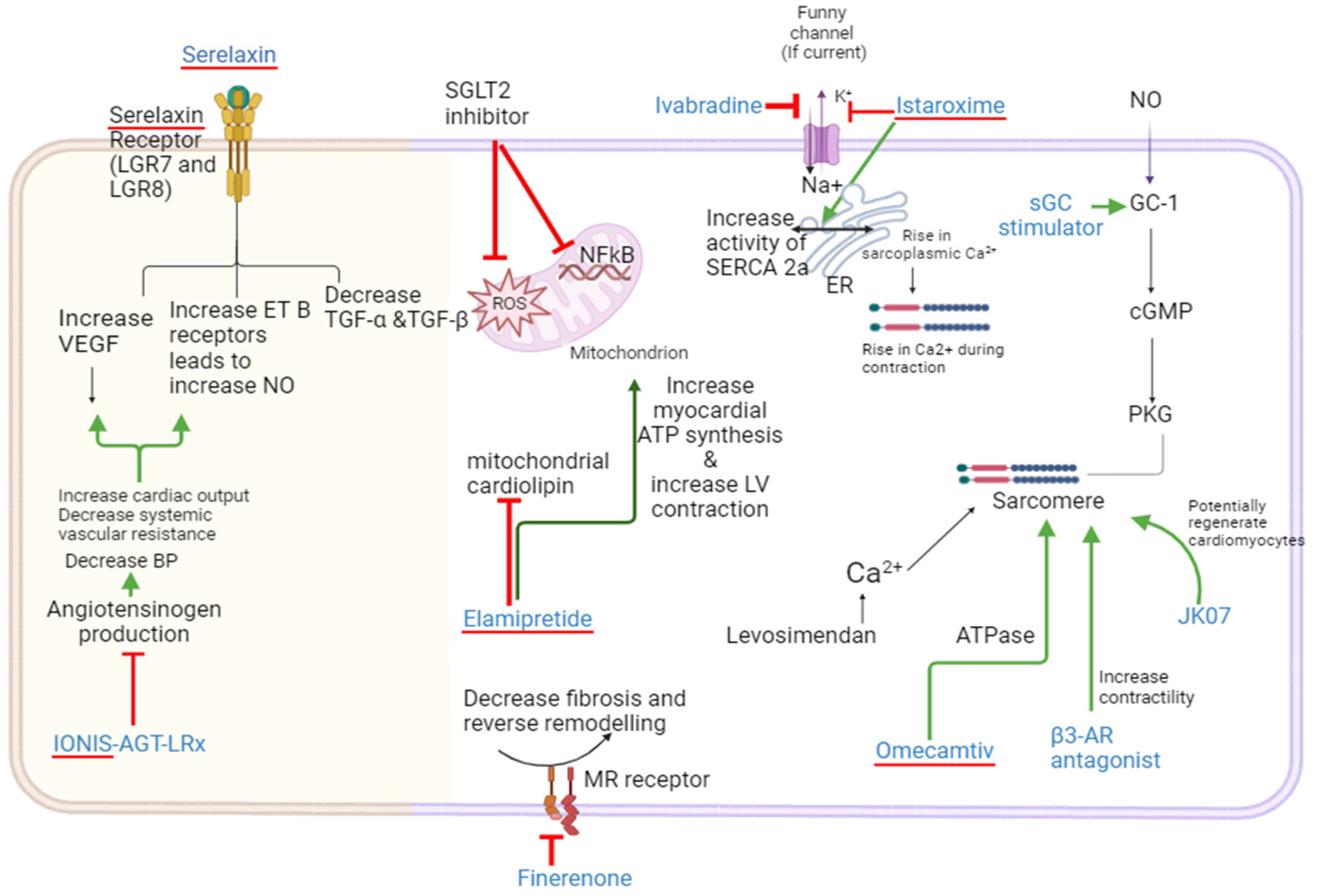 Children 11 00859 g004