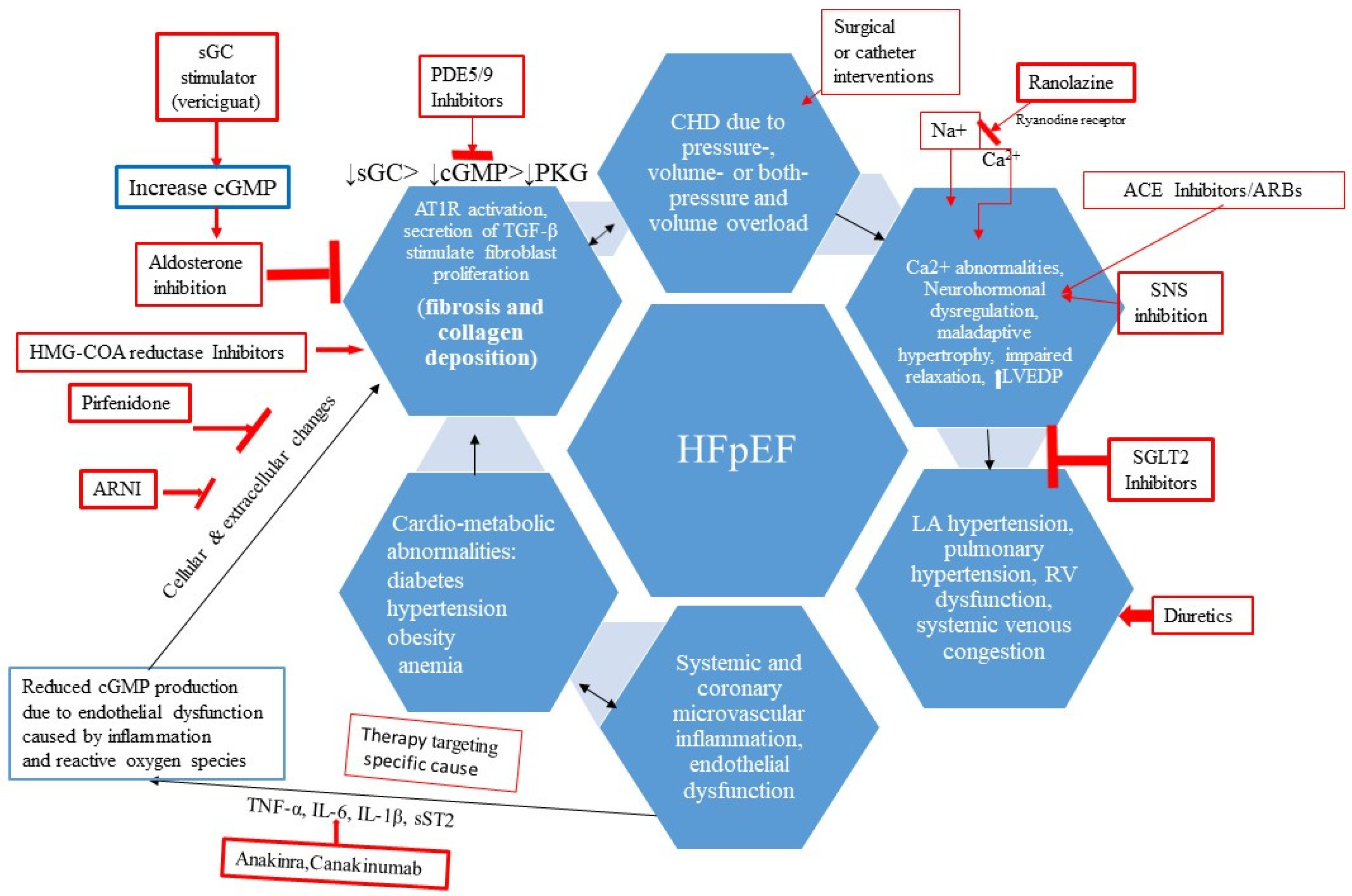 Children 11 00859 g005