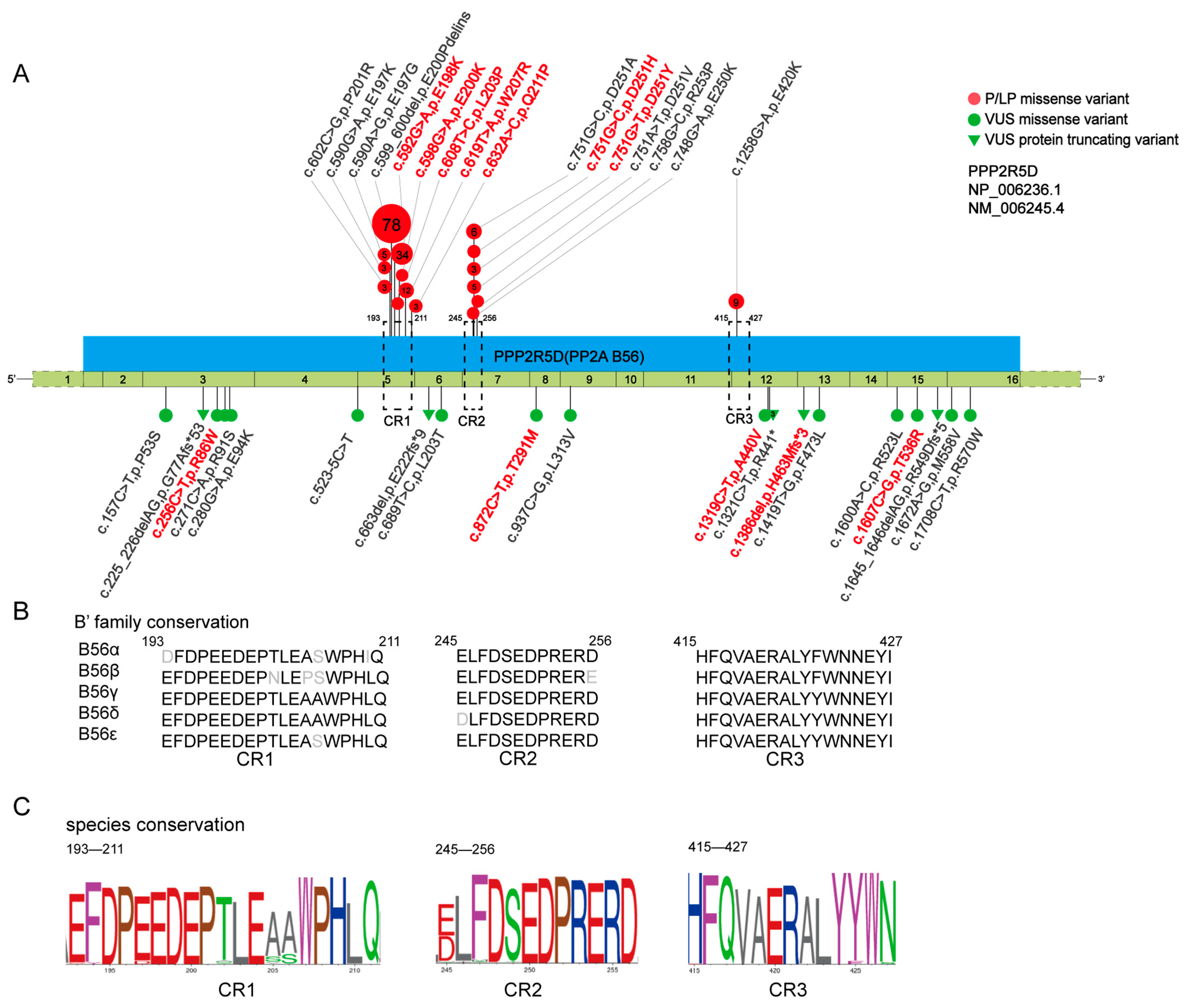 Children 11 00897 g001 Children 11 00897 g001