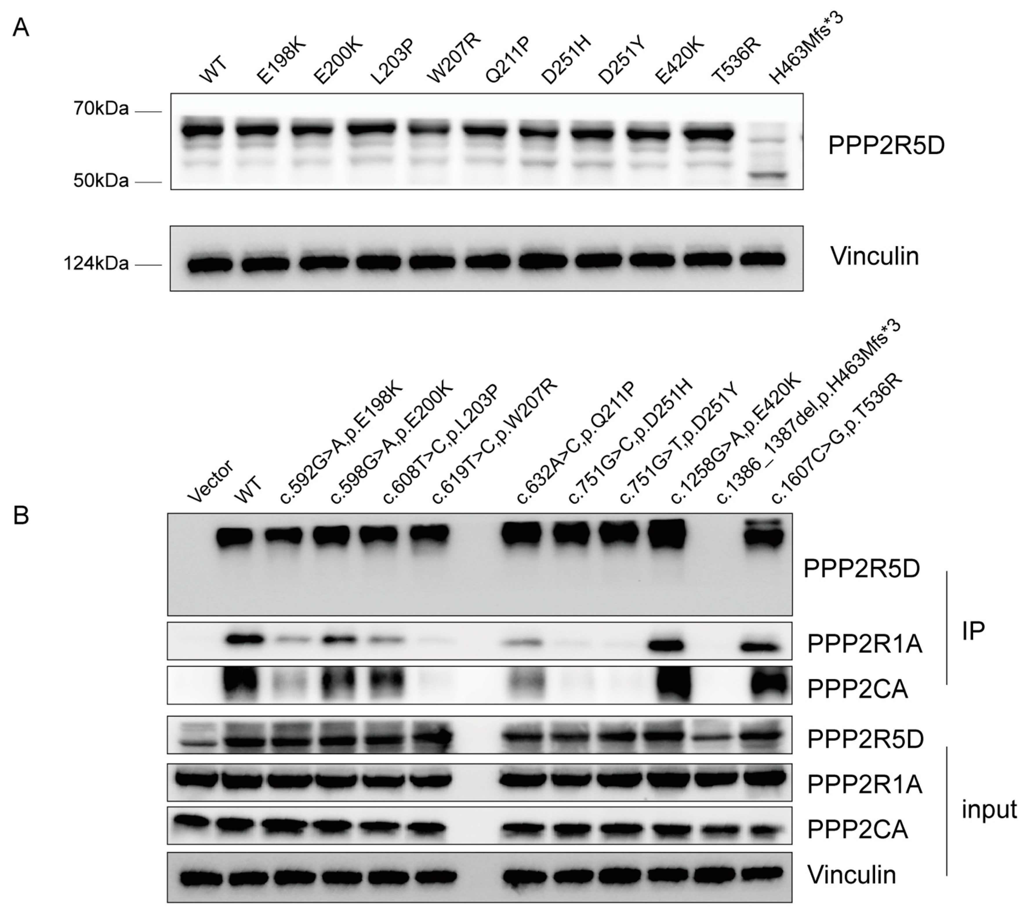 Children 11 00897 g002 Children 11 00897 g002
