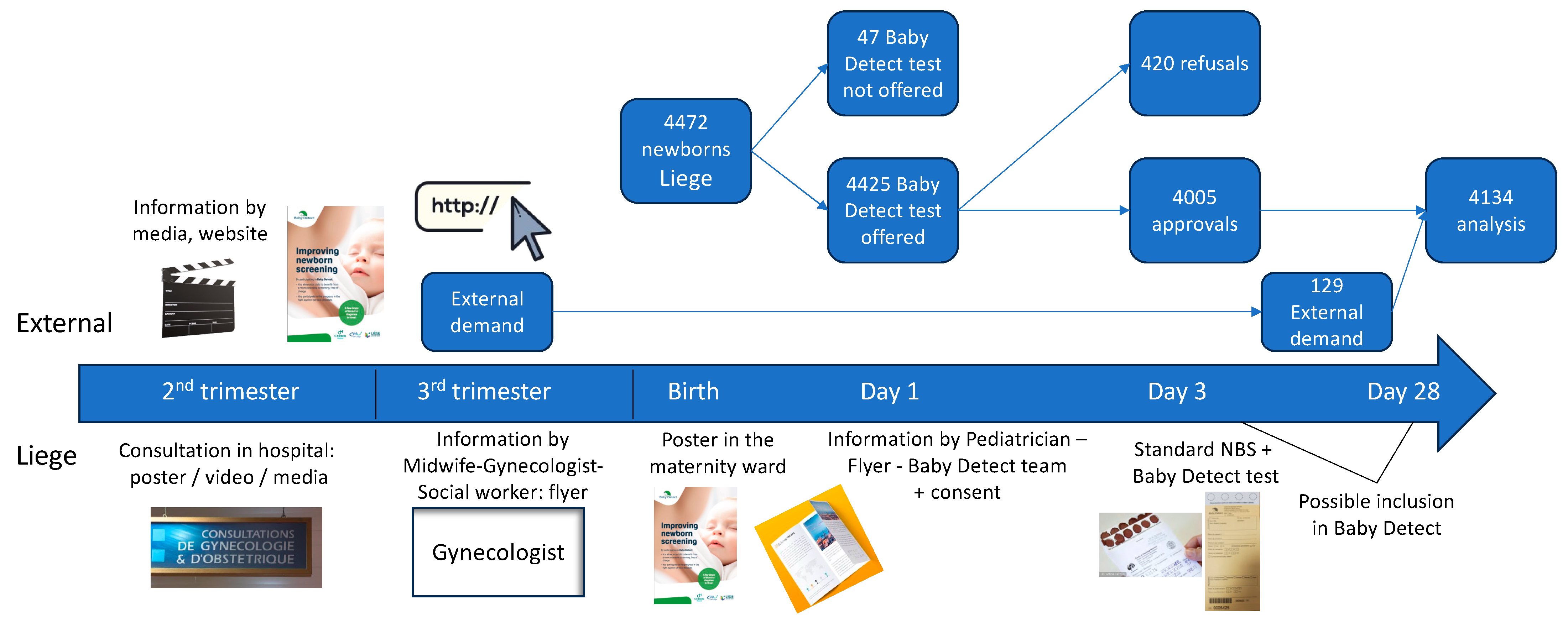 Children 11 00926 g001