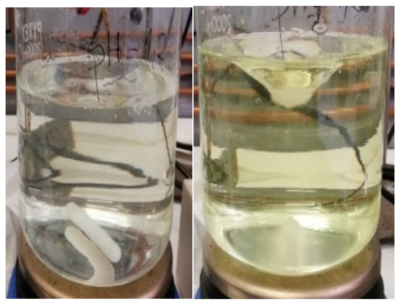 Children 11 00945 g002