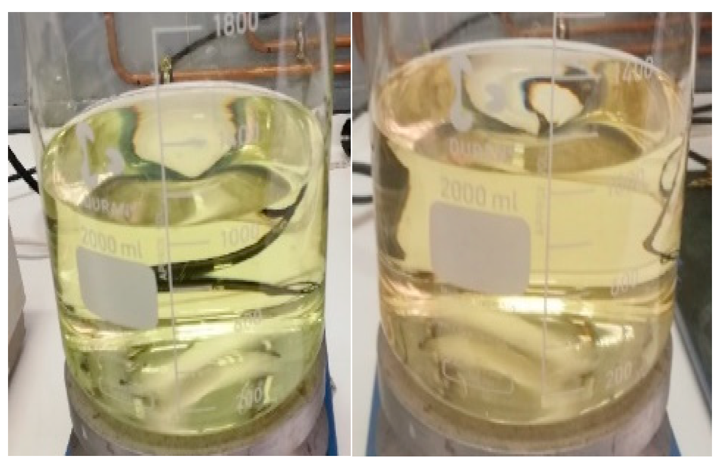 Children 11 00945 g006