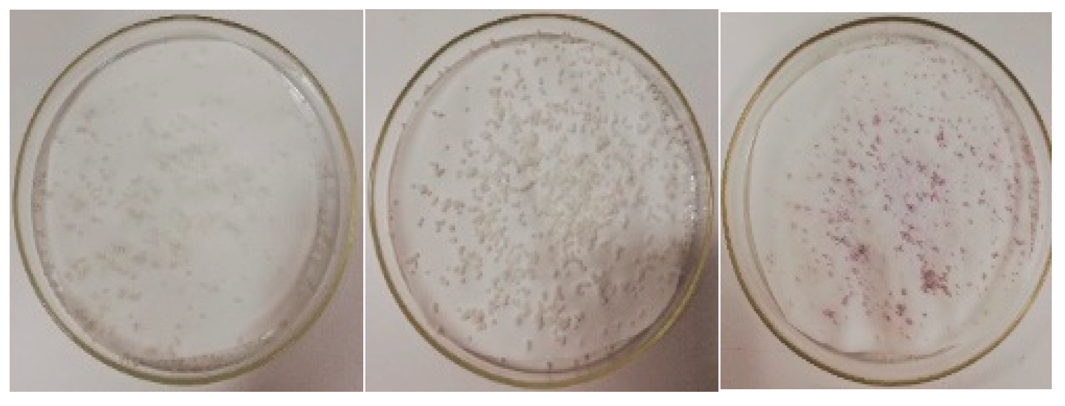 Children 11 00945 g008