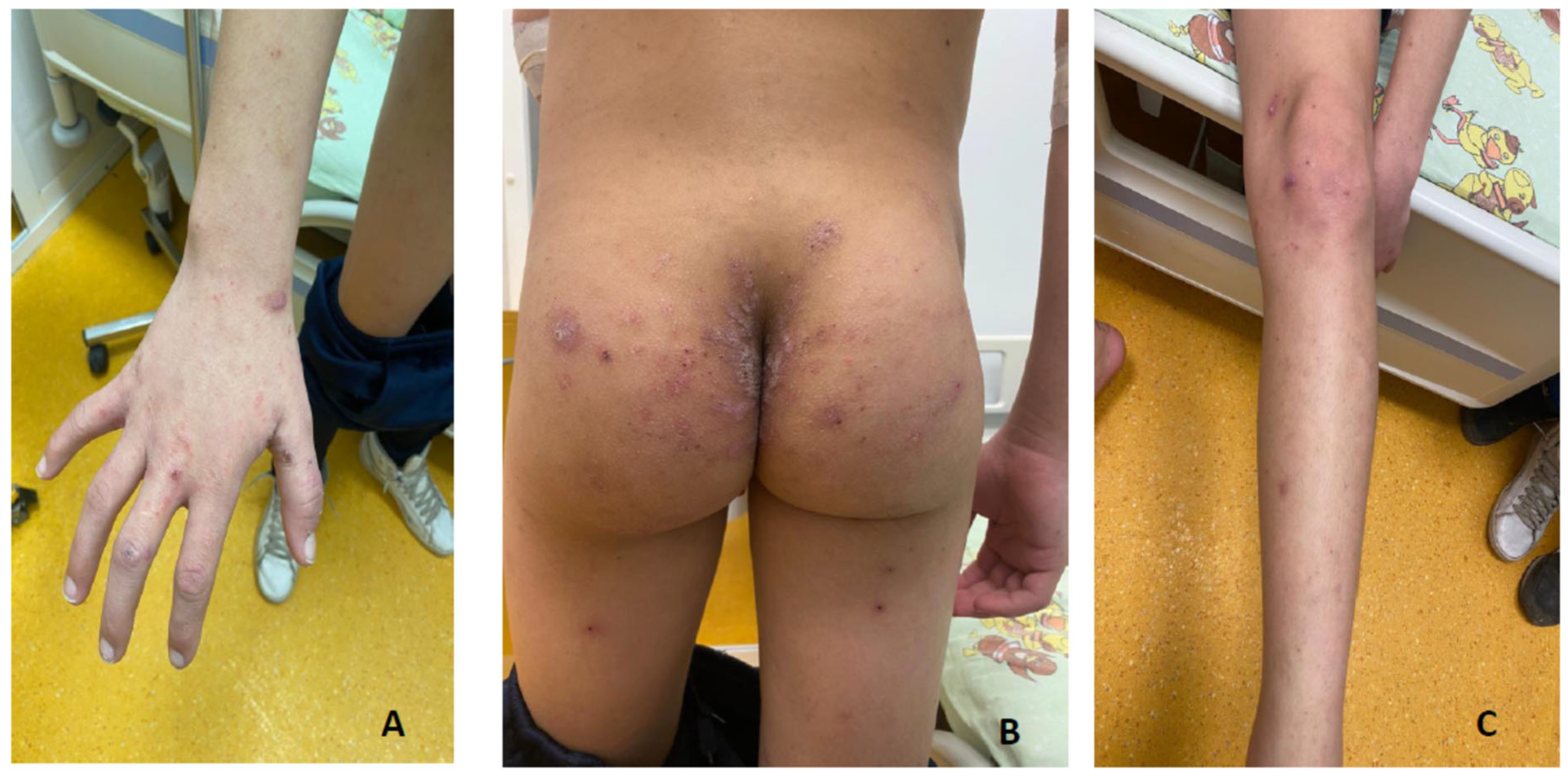 Children 11 00981 g001