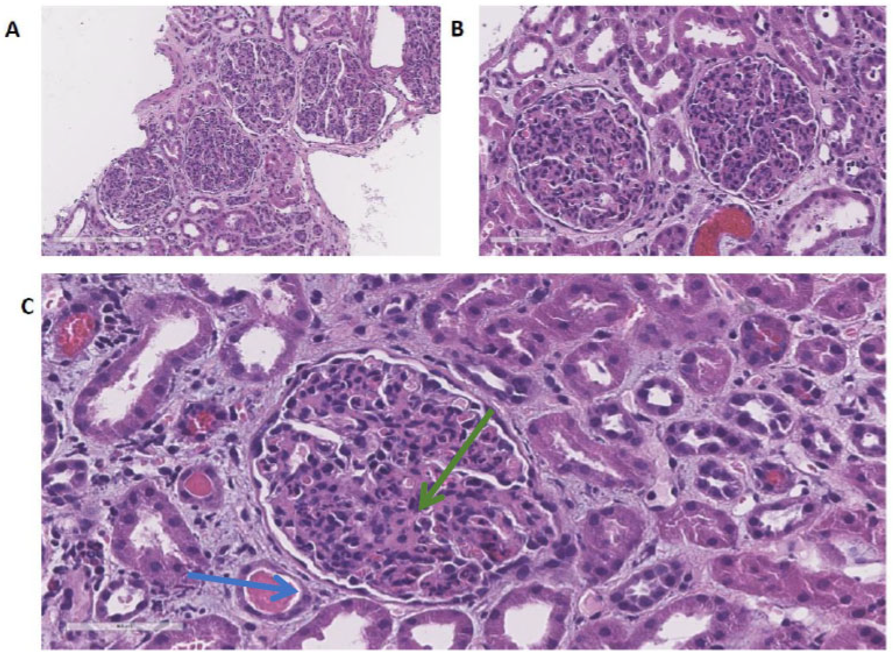 Children 11 00981 g002