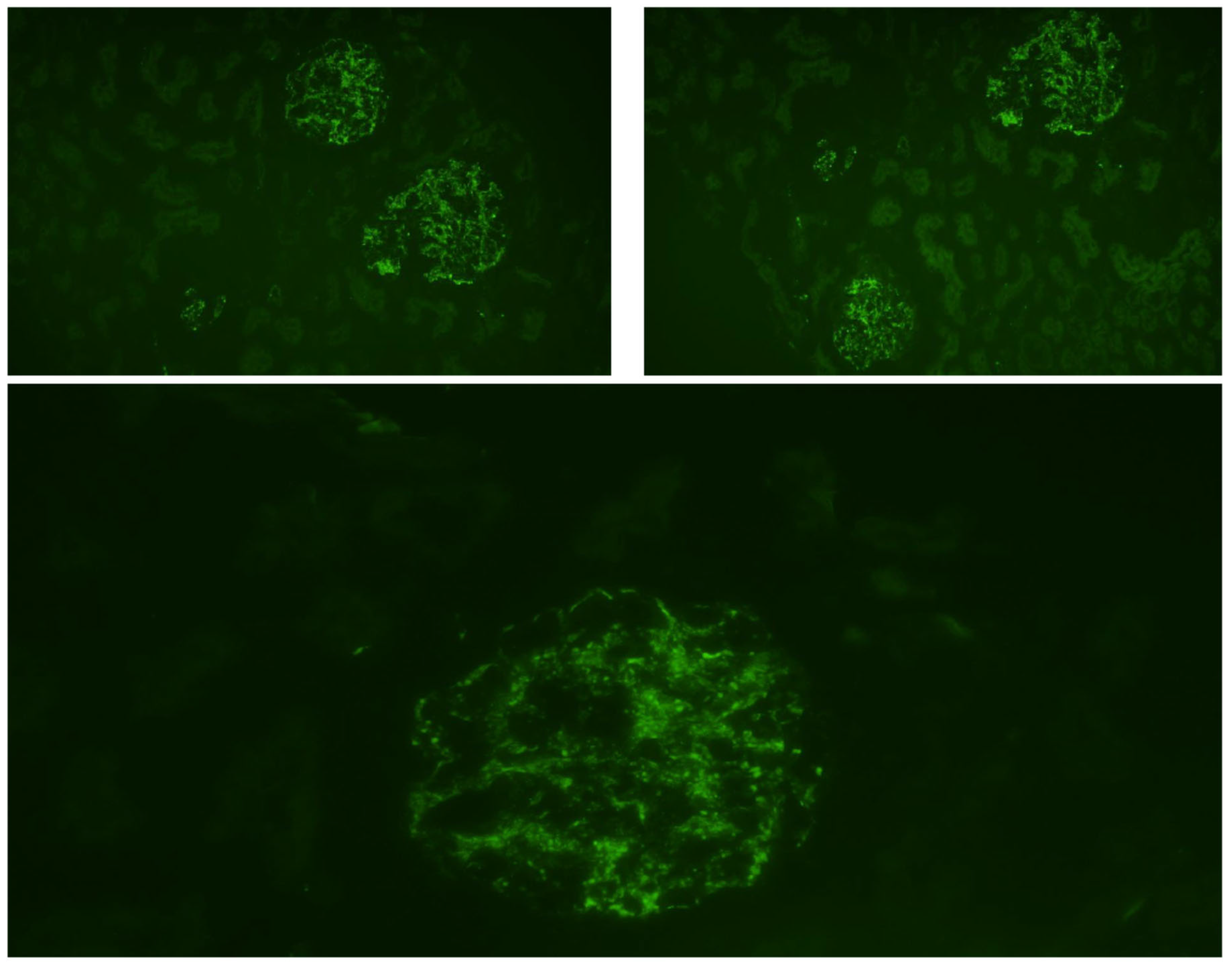 Children 11 00981 g003