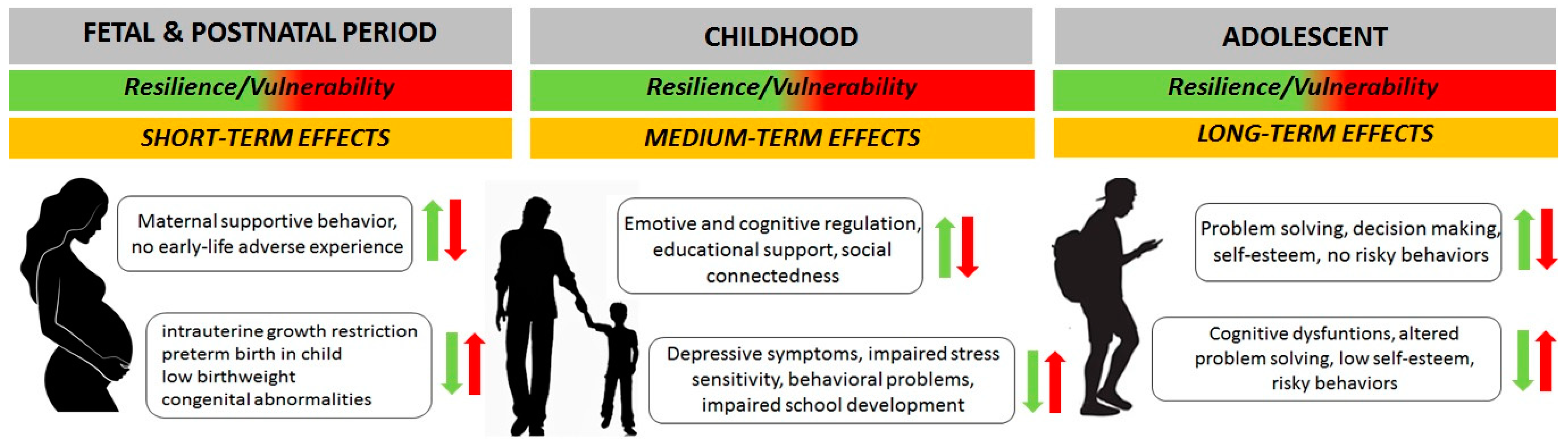 The Transition from Childhood to Adolescence Between Health and Vulnerability