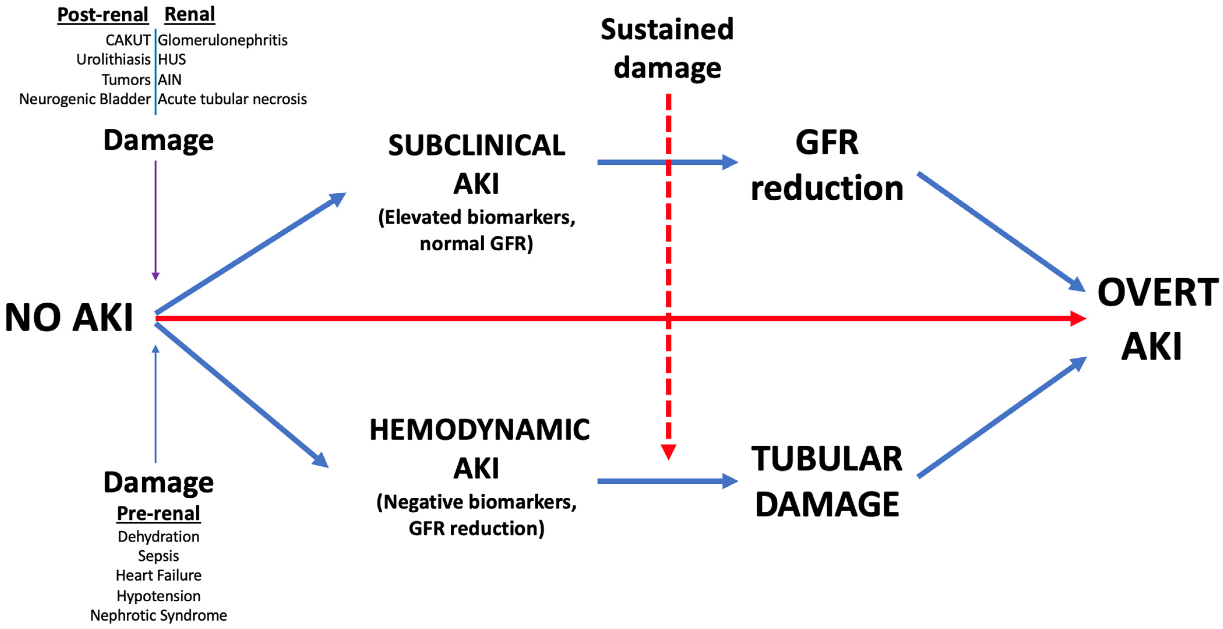 Children 11 01004 g002 Children 11 01004 g002