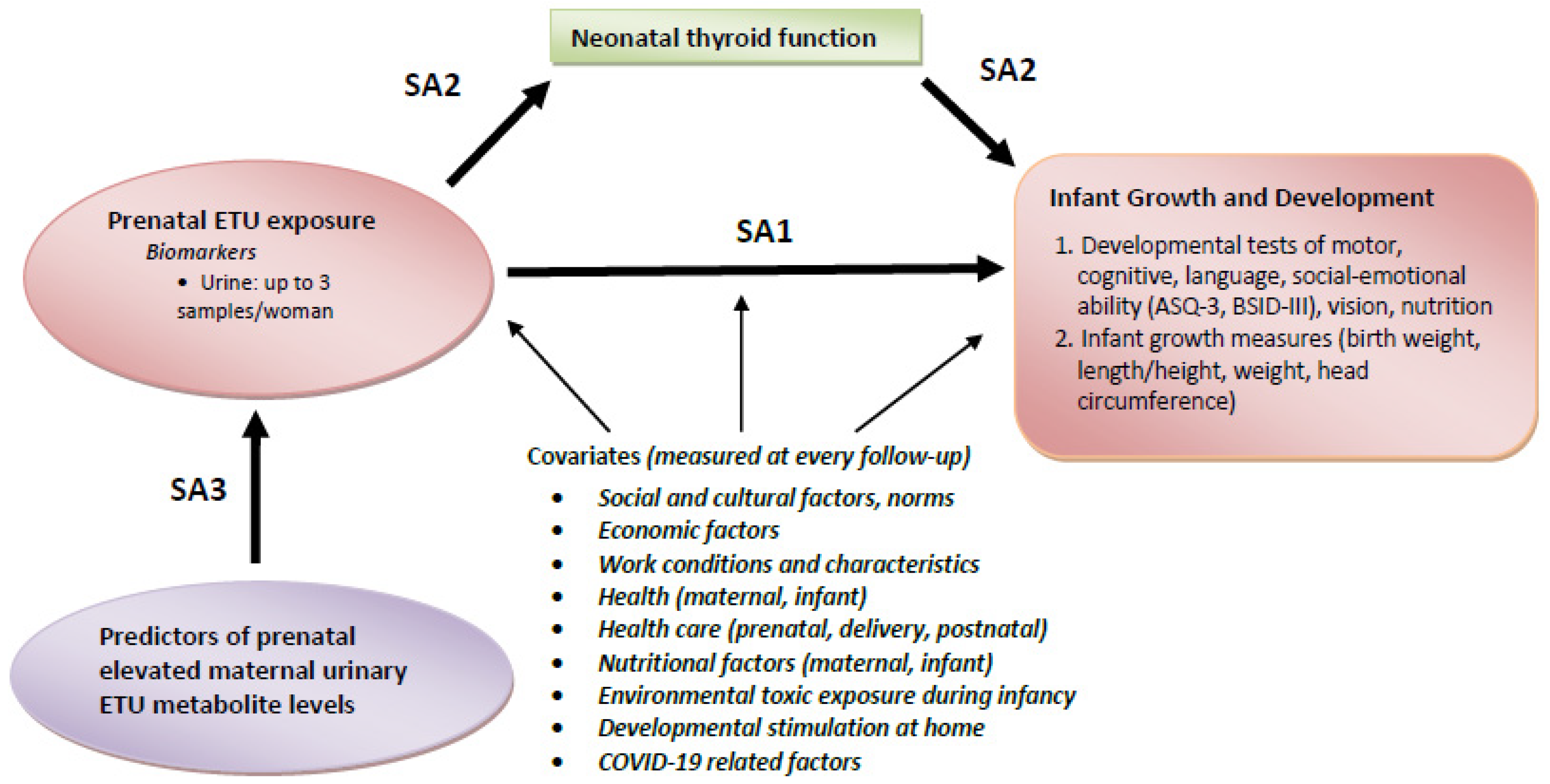 Children 11 01045 g002