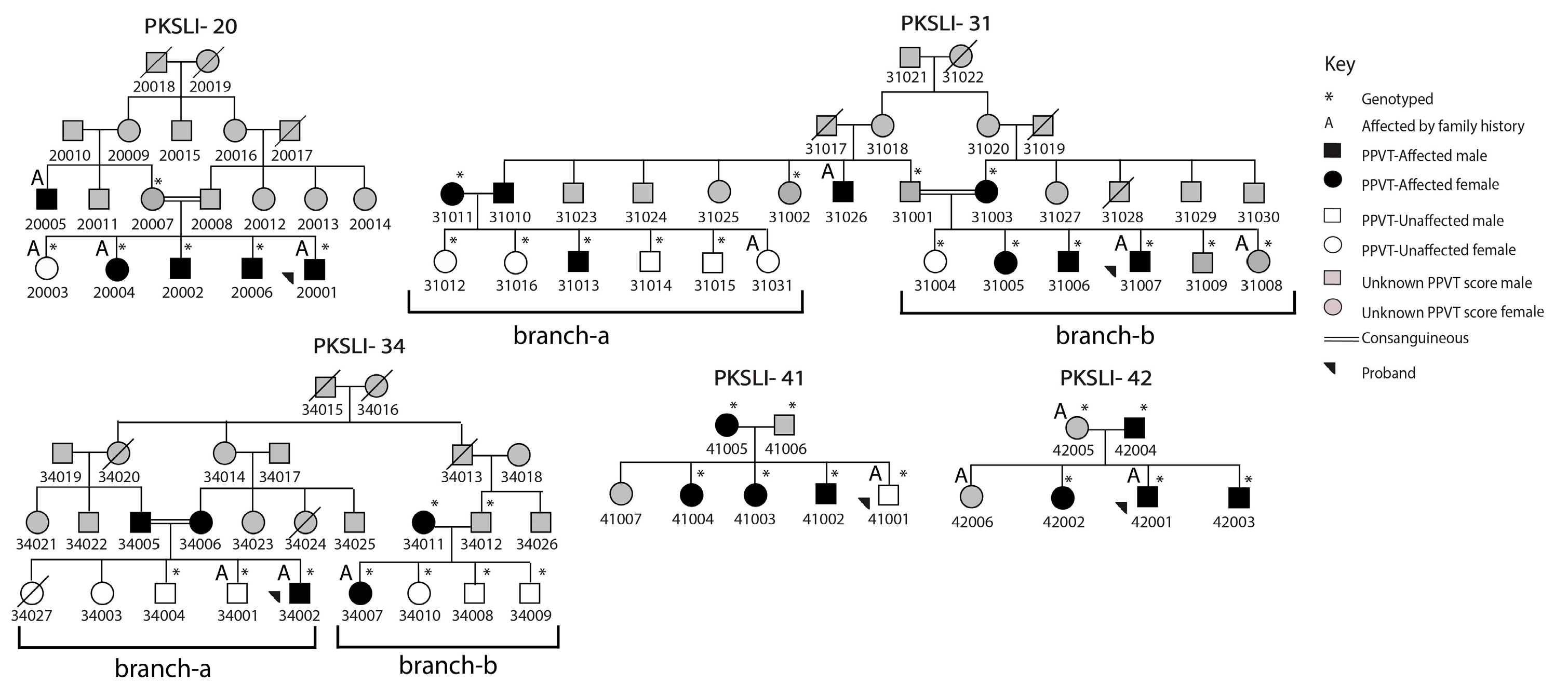 Children 11 01063 g001 Children 11 01063 g001